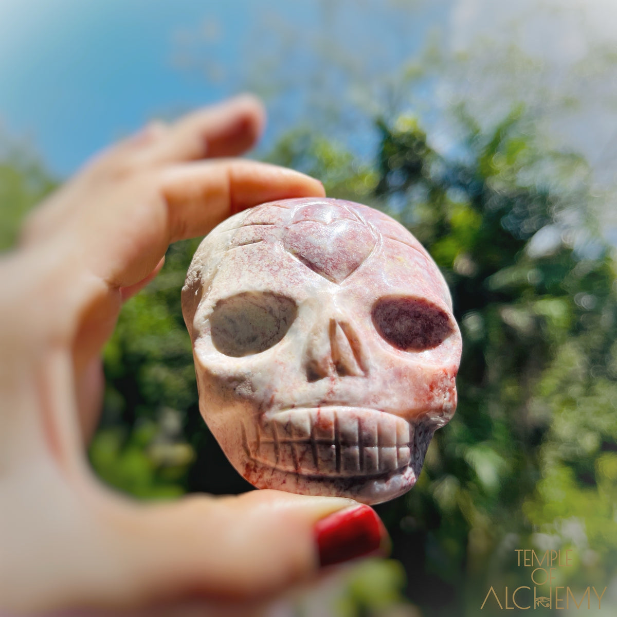 Triphylite x Lithium