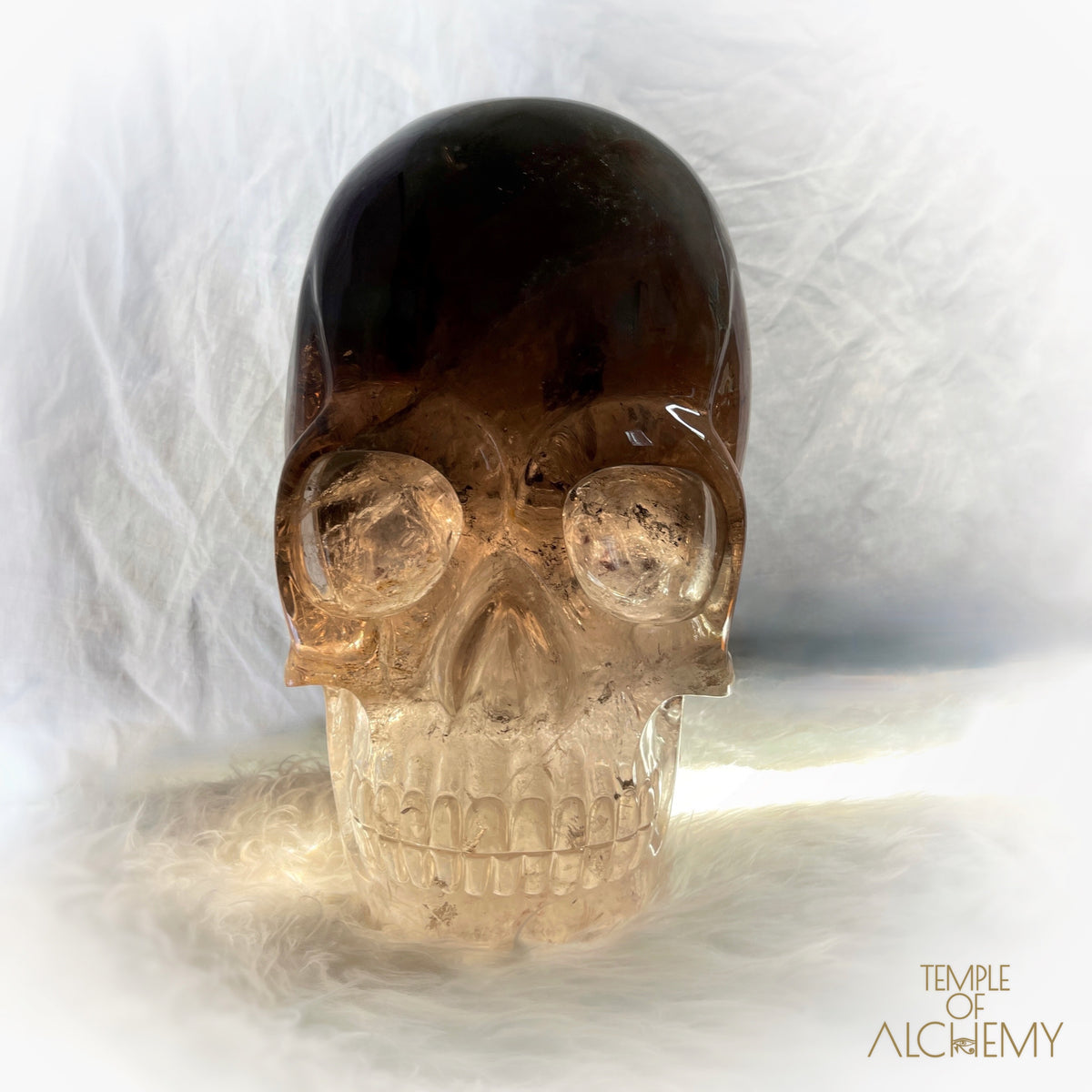 * Reserved * Phallon 𓆃 Warrior #169 The Cosmic Egg