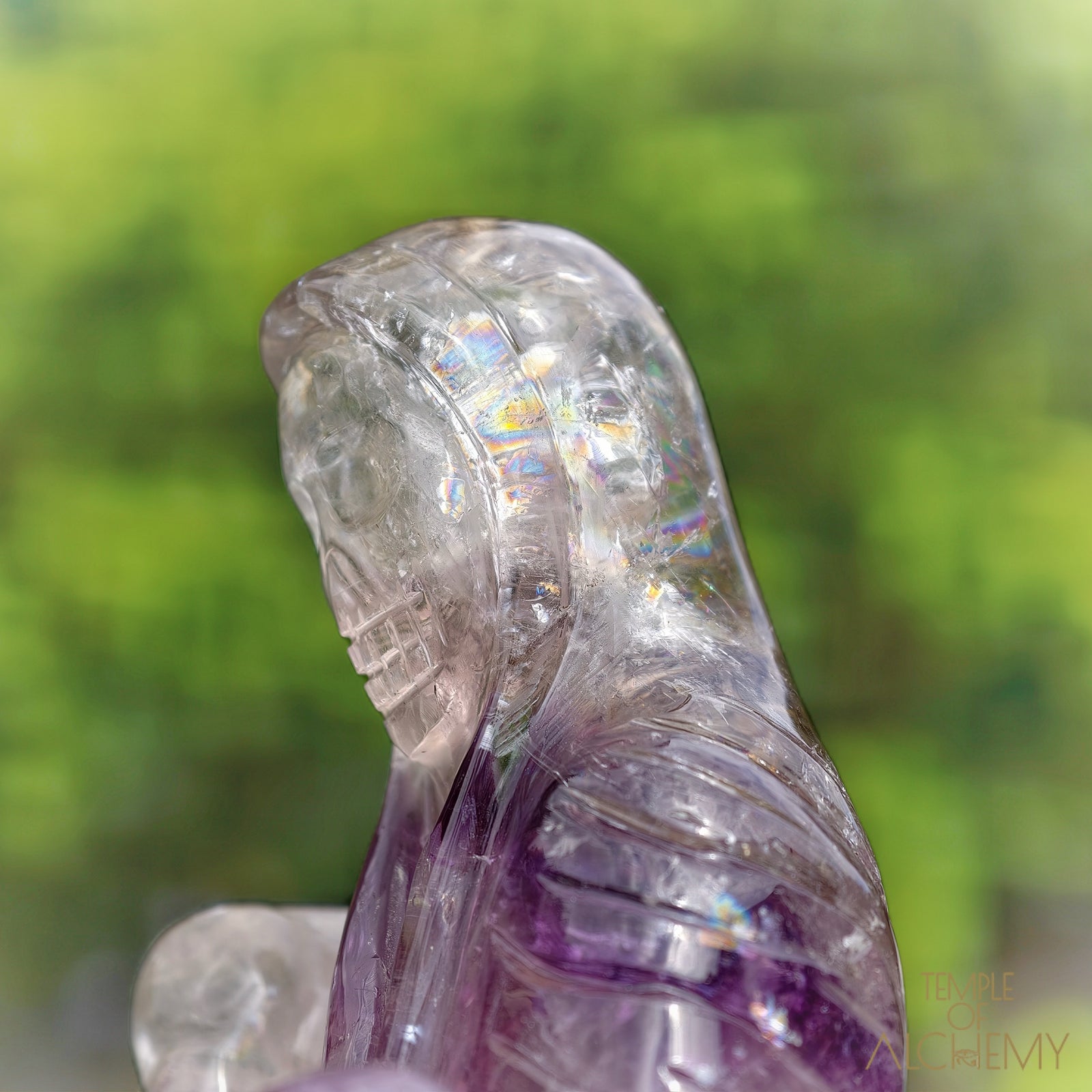 Phantom Amethyst 🌈