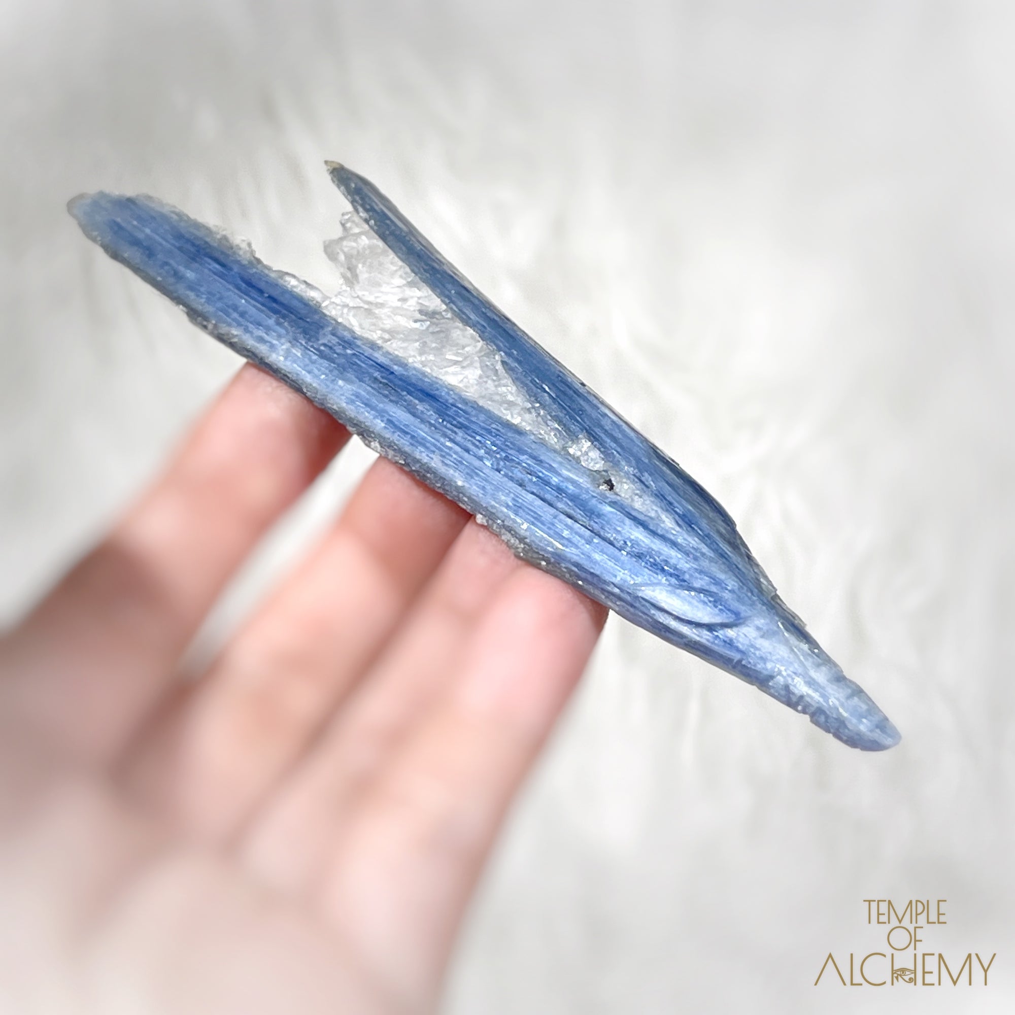 * Reserved A.H * Blue Kyanite