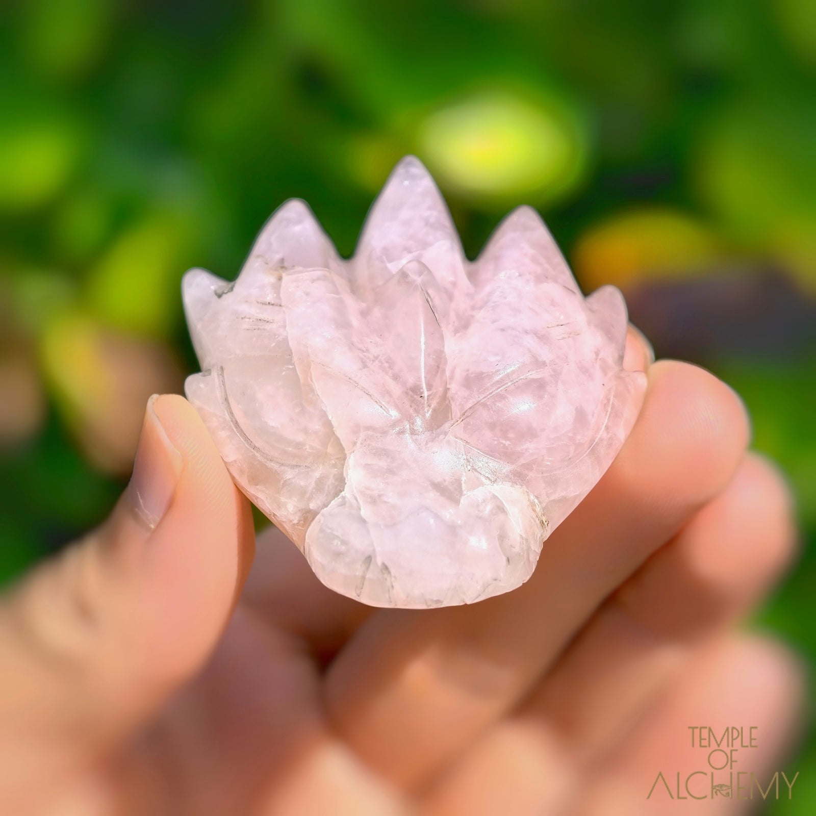 Rose Quartz x Golden Healer