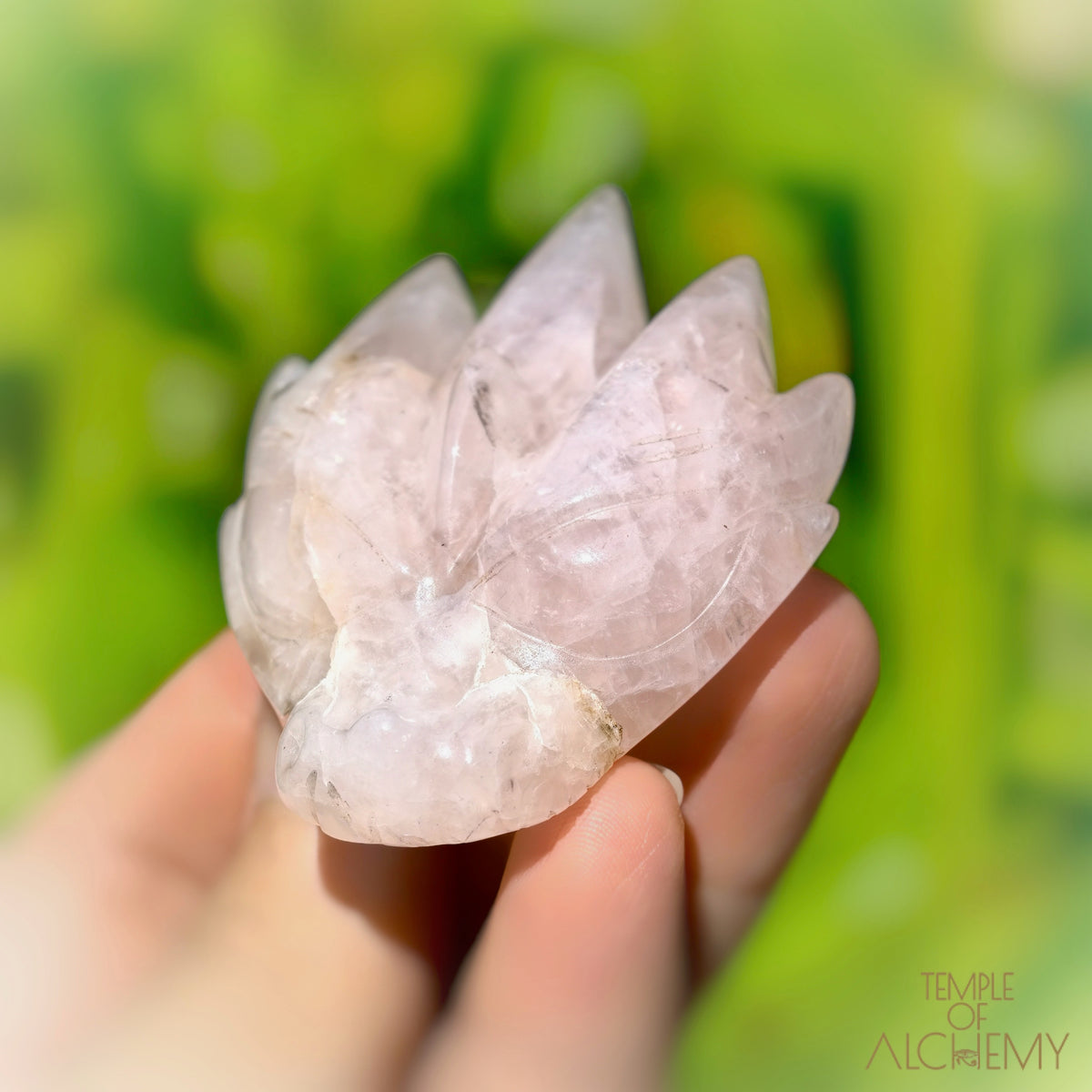 Rose Quartz x Golden Healer