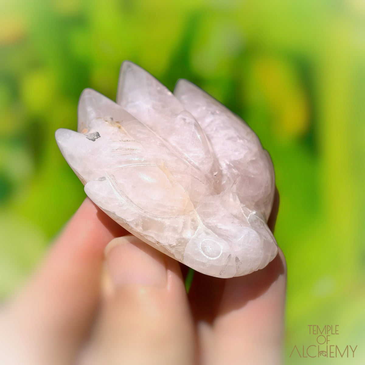 Rose Quartz x Golden Healer