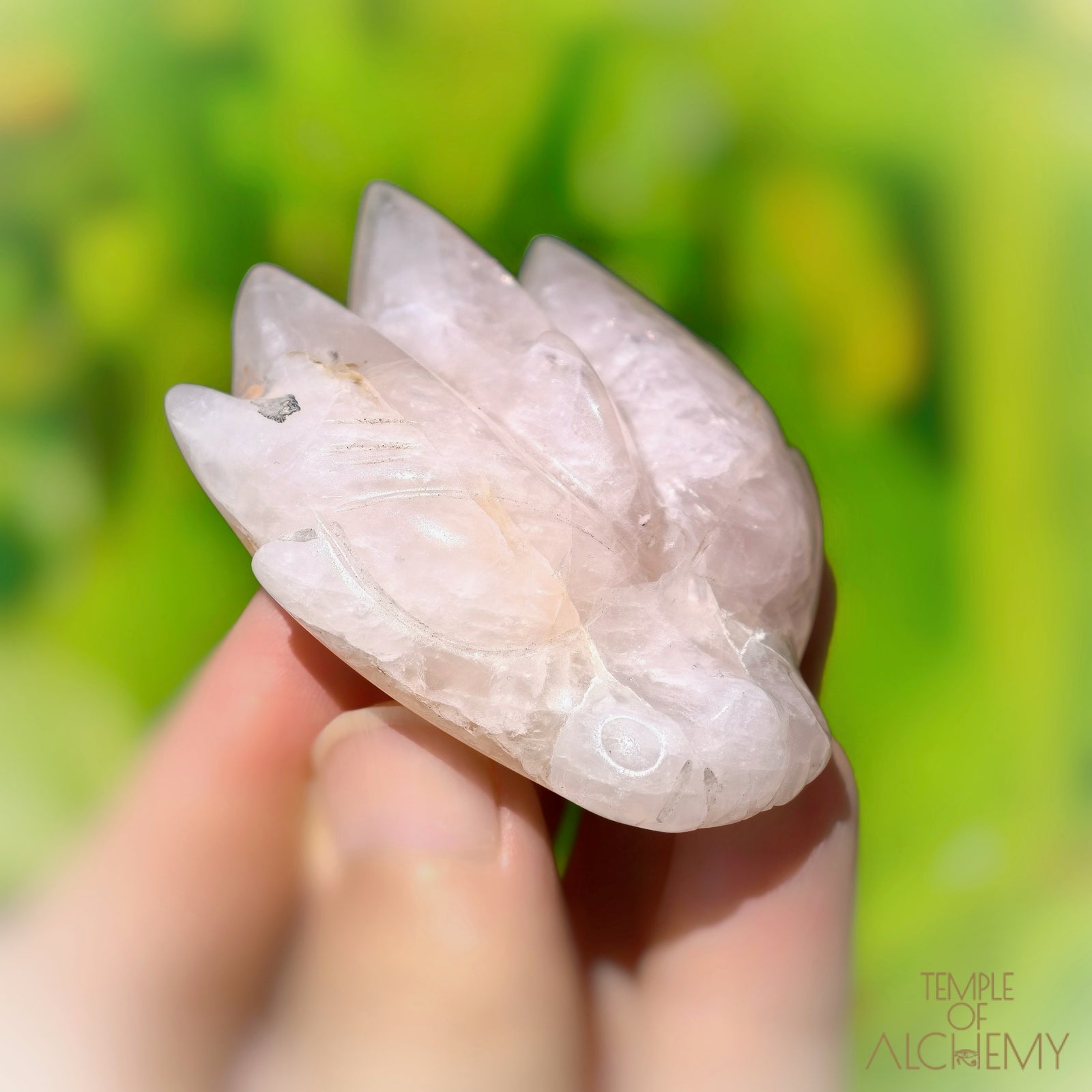 Rose Quartz x Golden Healer
