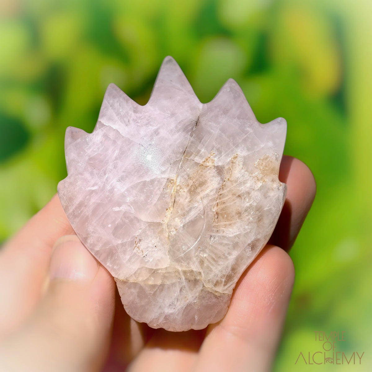 Rose Quartz x Golden Healer