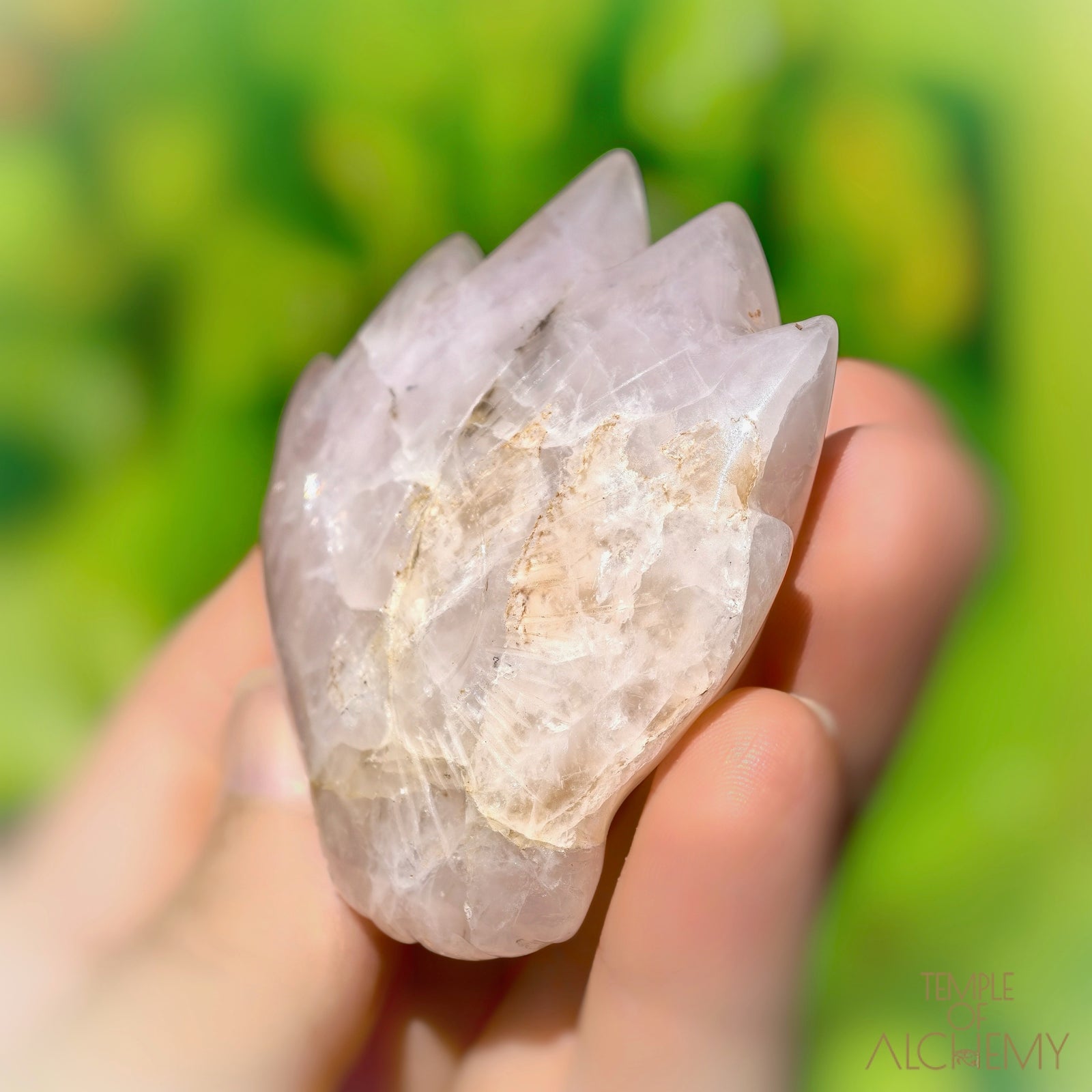 Rose Quartz x Golden Healer