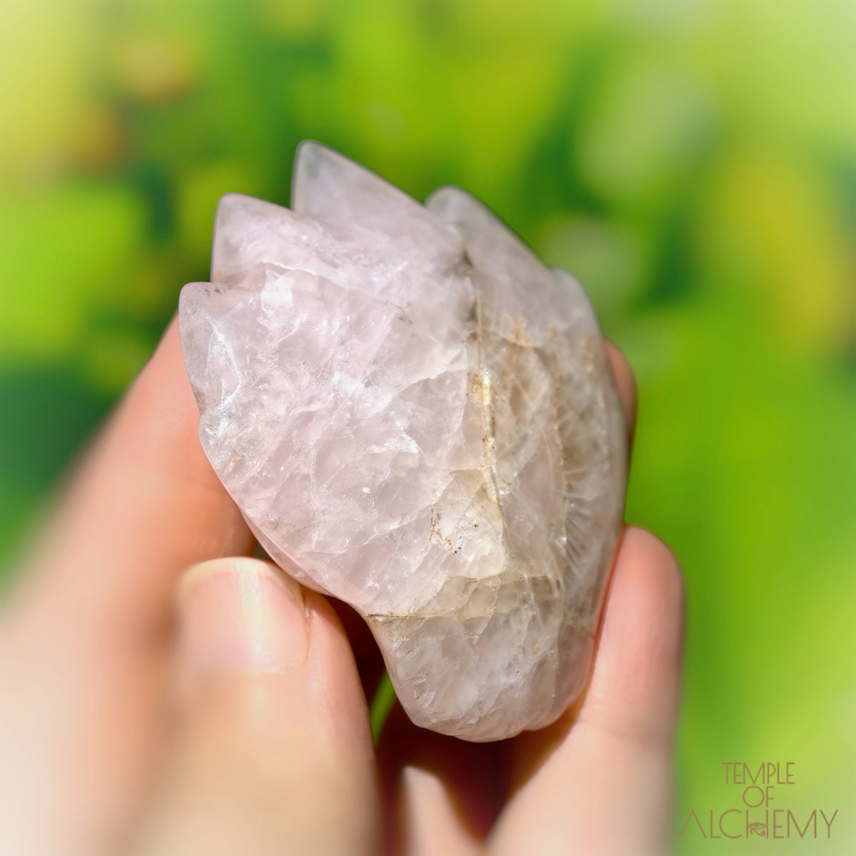 Rose Quartz x Golden Healer