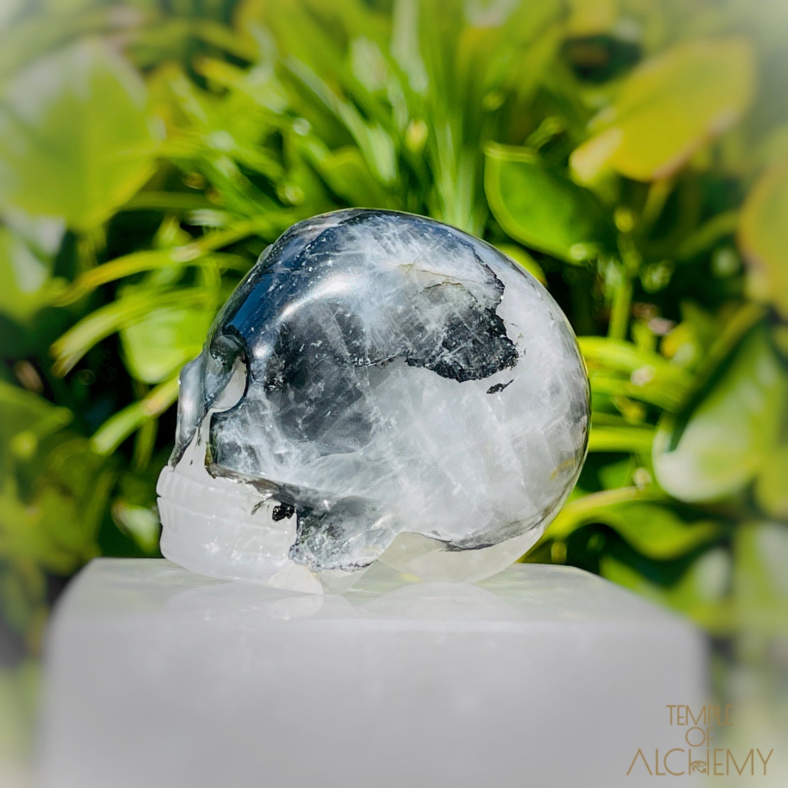 Green Chlorite x Golden Healer x Milky Quartz