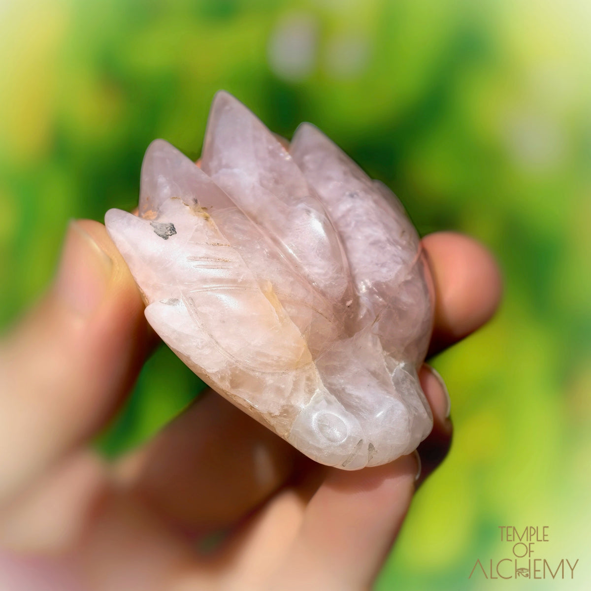 Rose Quartz x Golden Healer