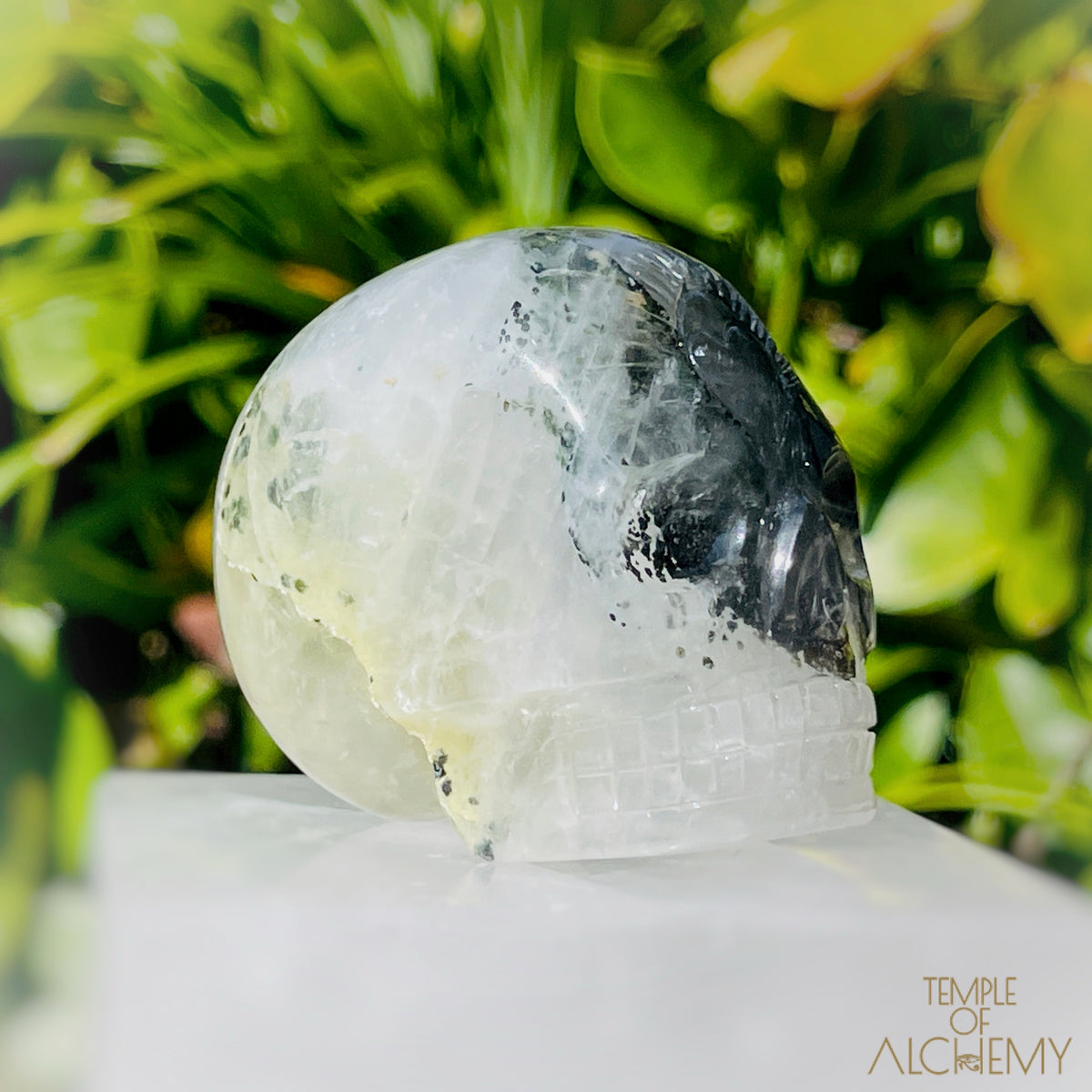 Green Chlorite x Golden Healer x Milky Quartz