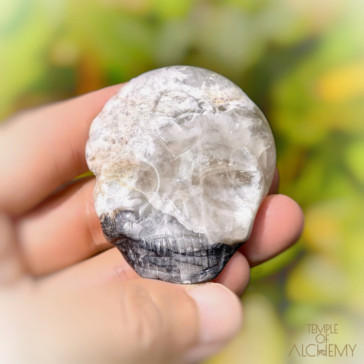Lodolite x Columbite in Clear Quartz