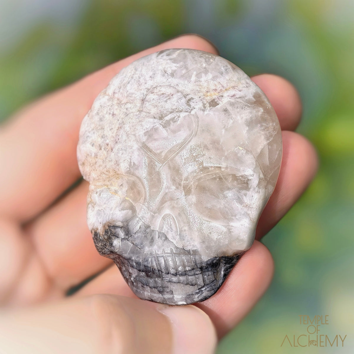 Lodolite x Columbite in Clear Quartz