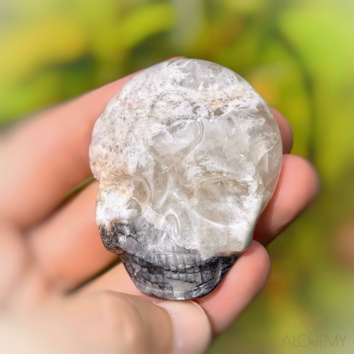 Lodolite x Columbite in Clear Quartz