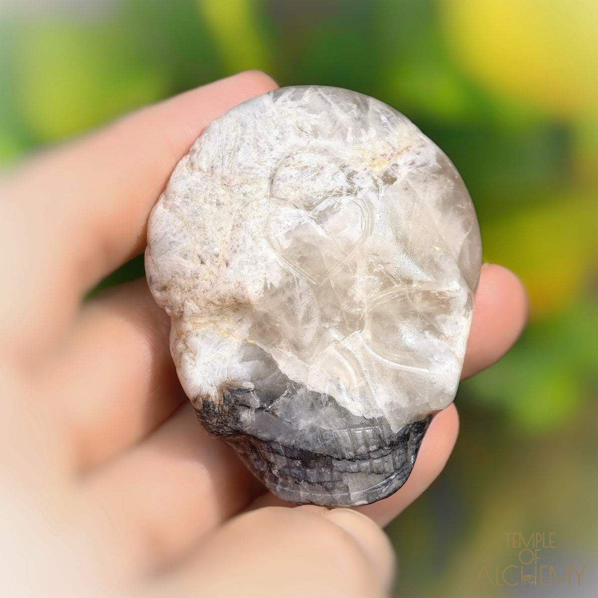 Lodolite x Columbite in Clear Quartz