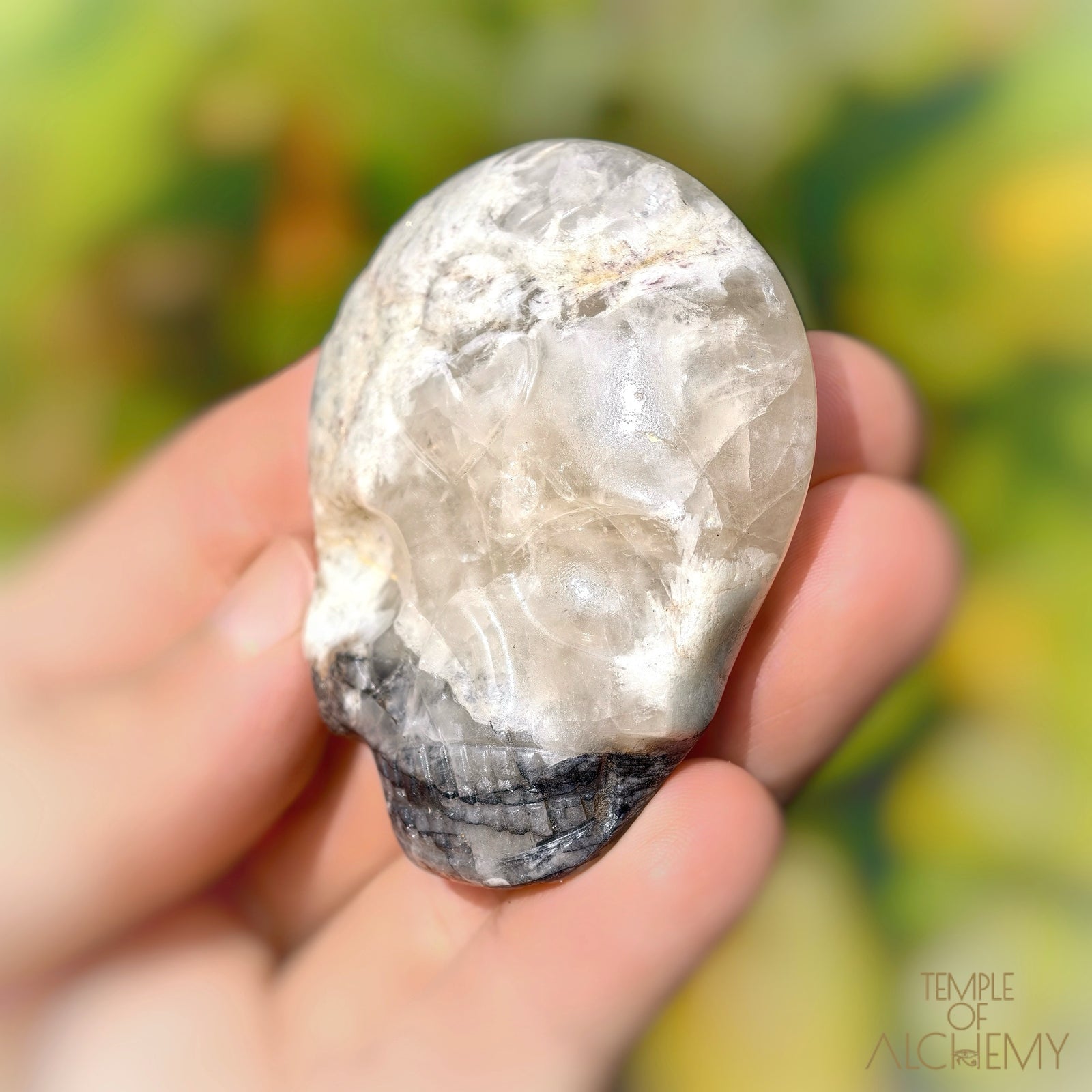 Lodolite x Columbite in Clear Quartz