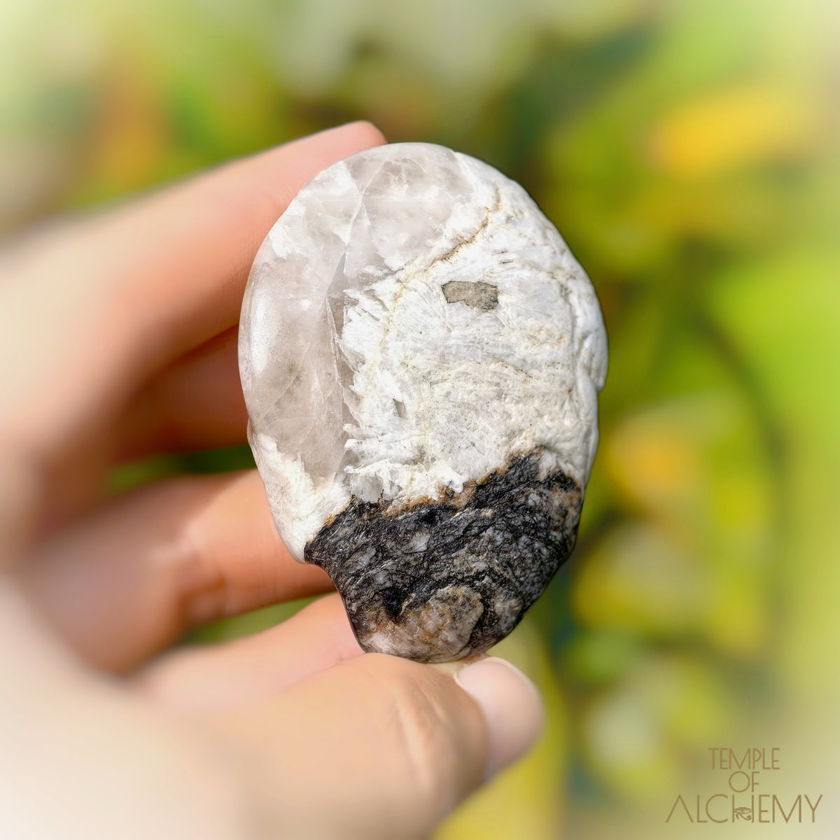 Lodolite x Columbite in Clear Quartz