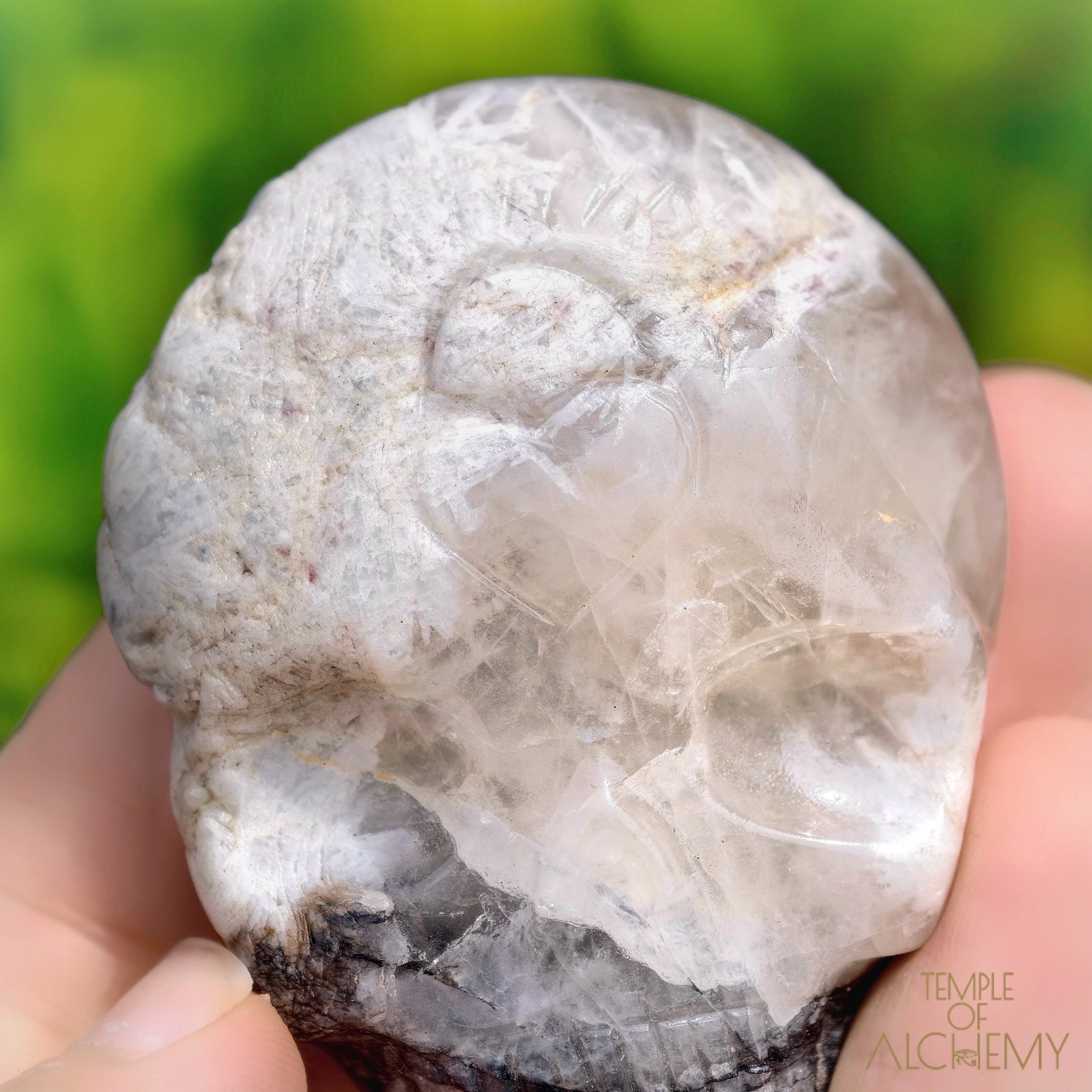 Lodolite x Columbite in Clear Quartz