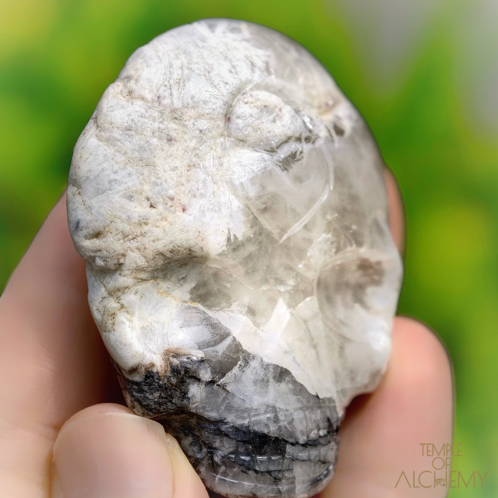 Lodolite x Columbite in Clear Quartz