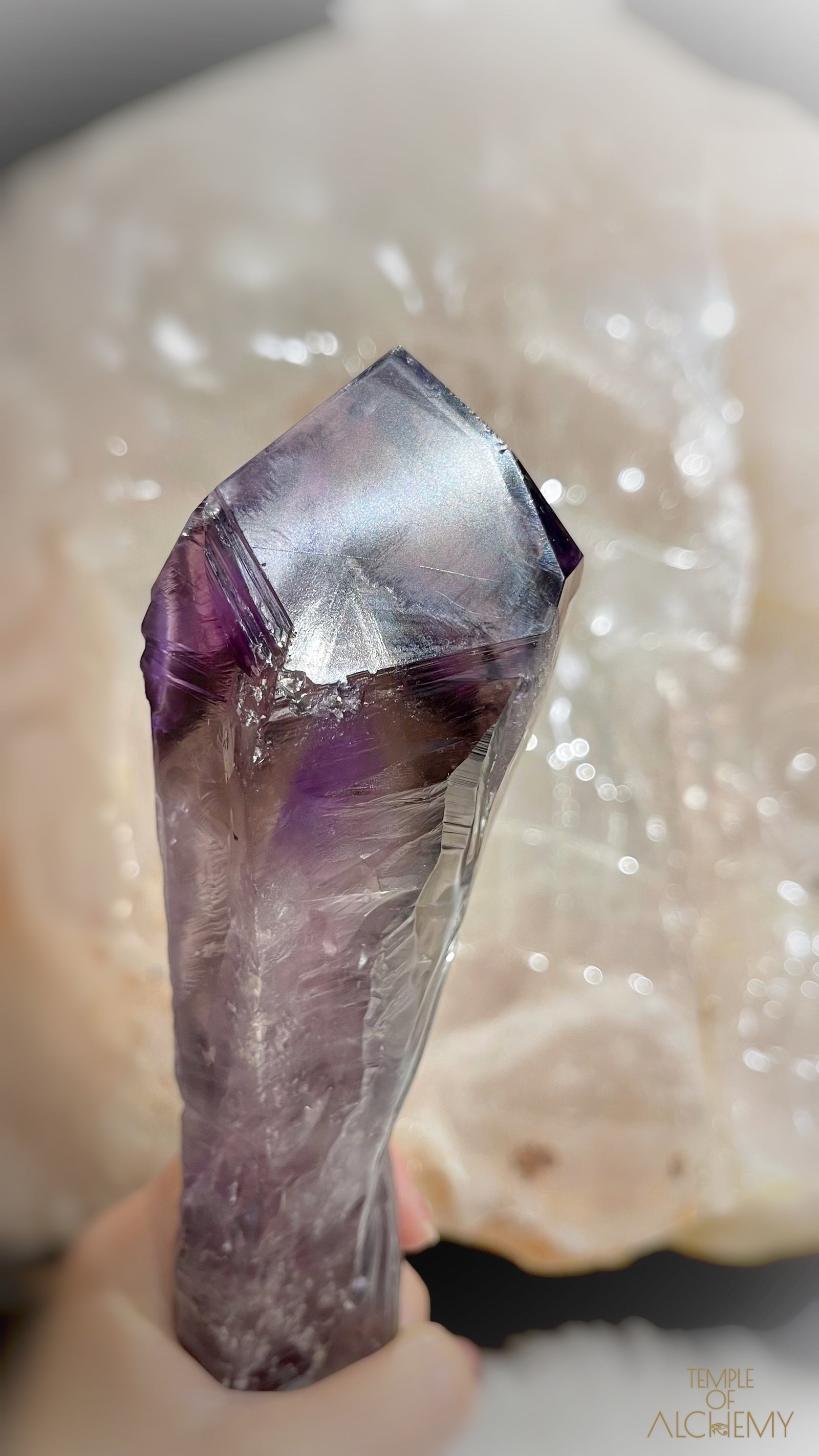 Record Keeper 𓄂♡𓆃 Phantom Ametrine