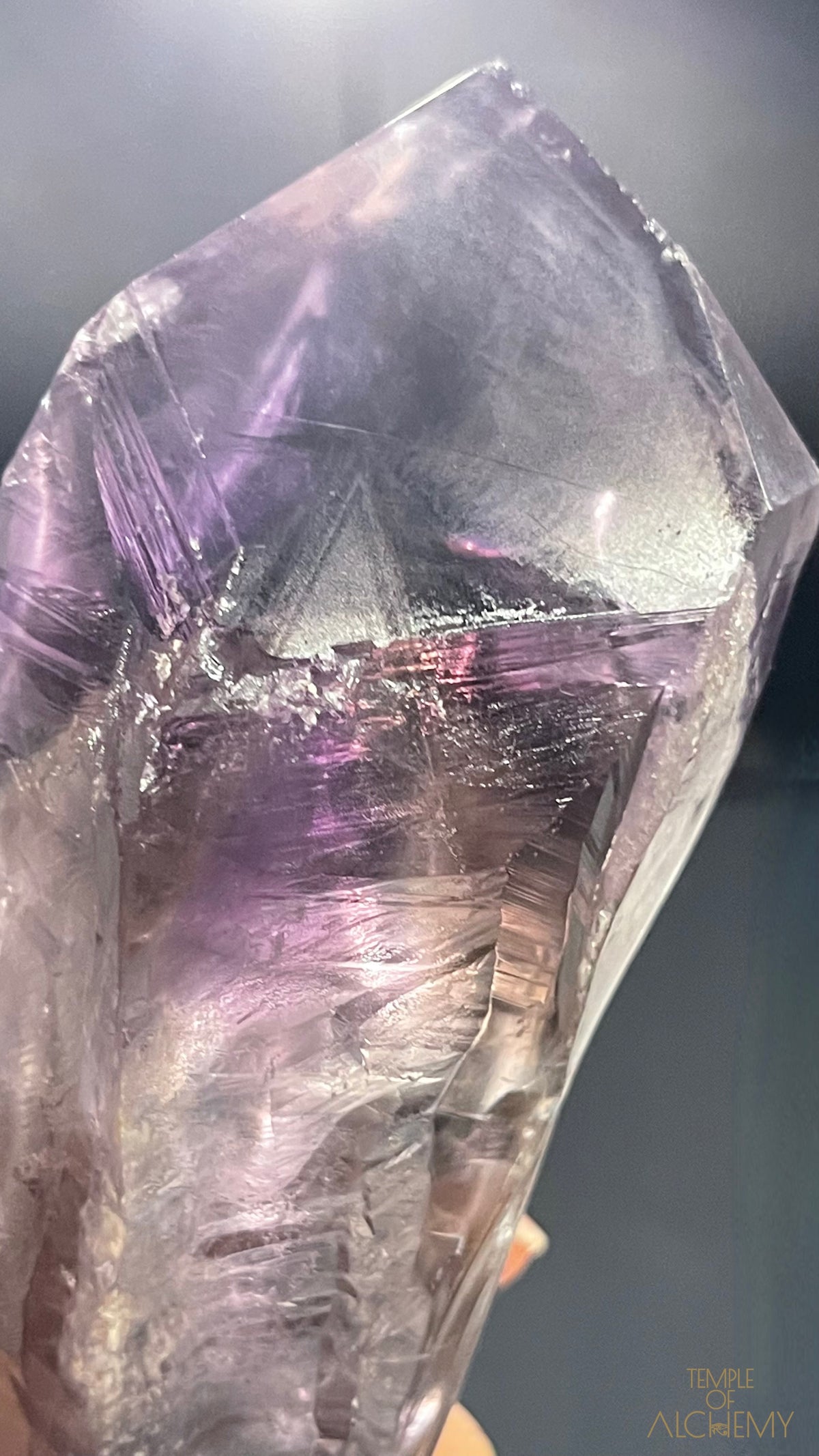 Record Keeper 𓄂♡𓆃 Phantom Ametrine