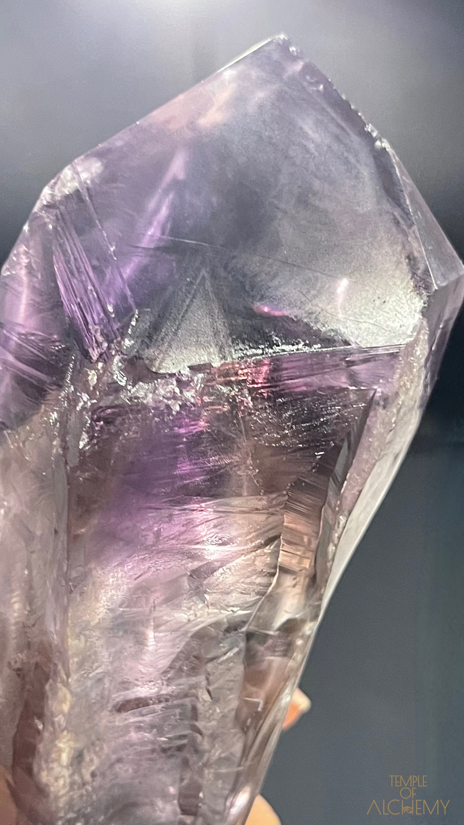 Record Keeper 𓄂♡𓆃 Phantom Ametrine