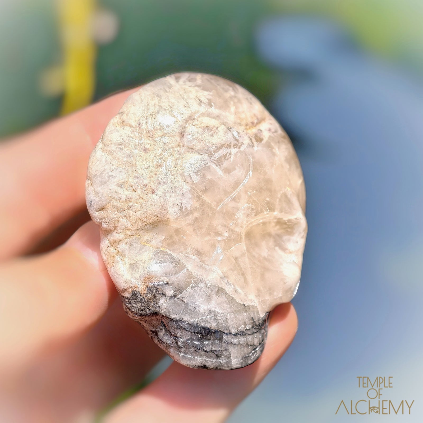 Lodolite x Columbite in Clear Quartz