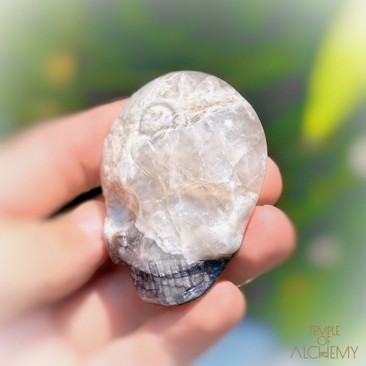 Lodolite x Columbite in Clear Quartz