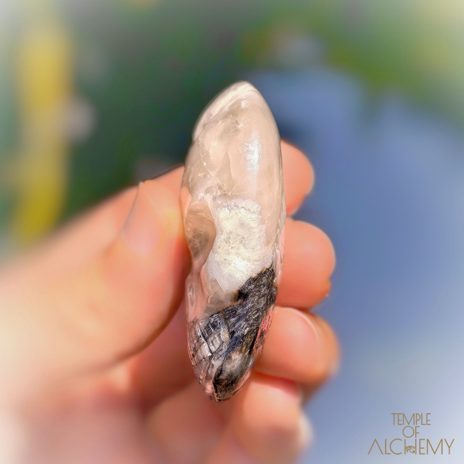 Lodolite x Columbite in Clear Quartz
