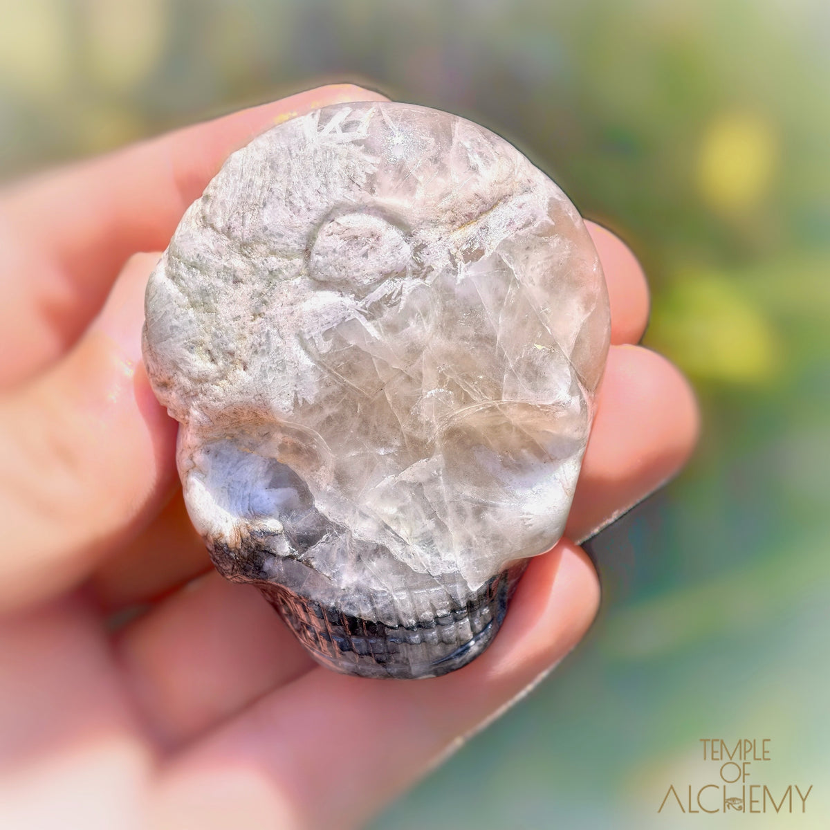 Lodolite x Columbite in Clear Quartz