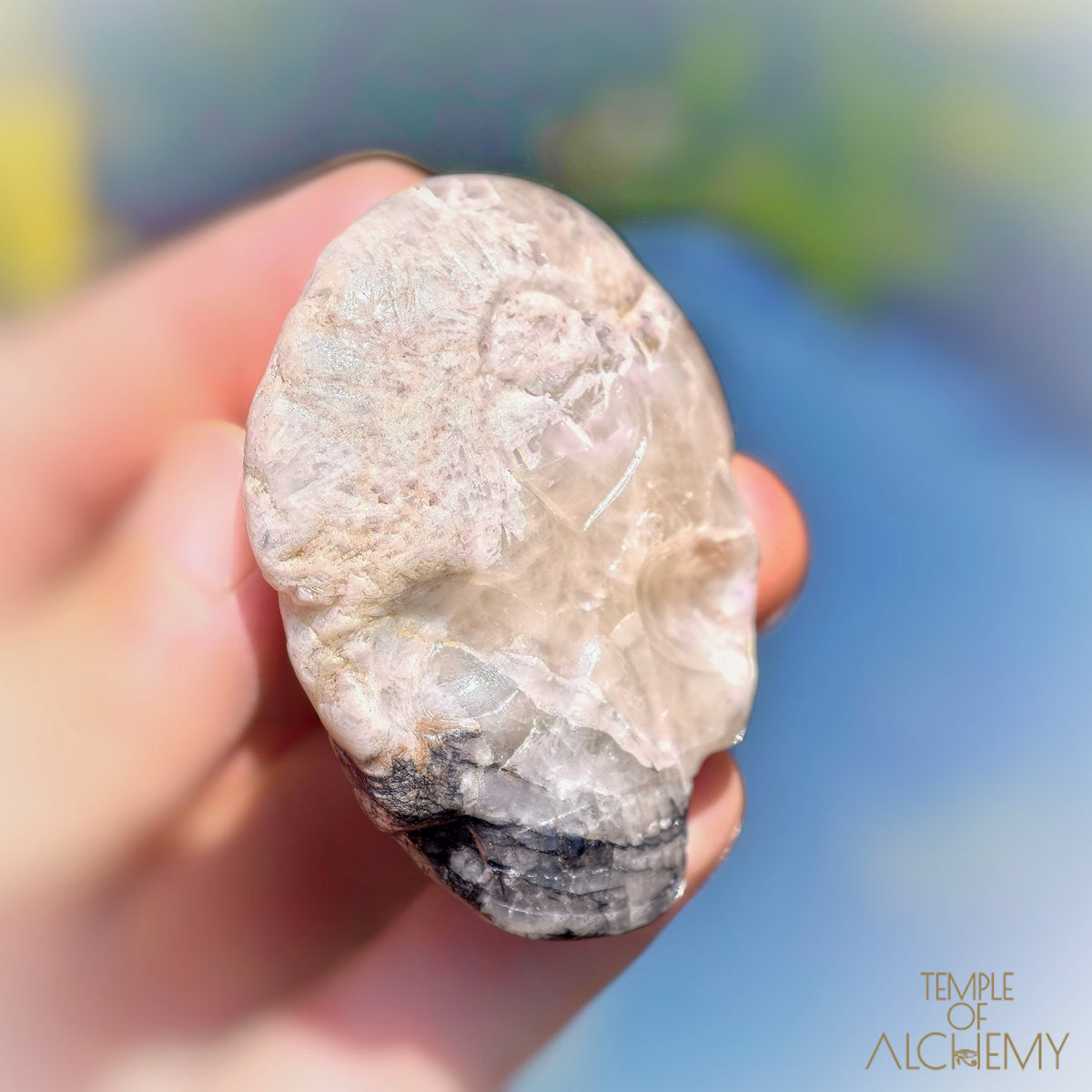 Lodolite x Columbite in Clear Quartz