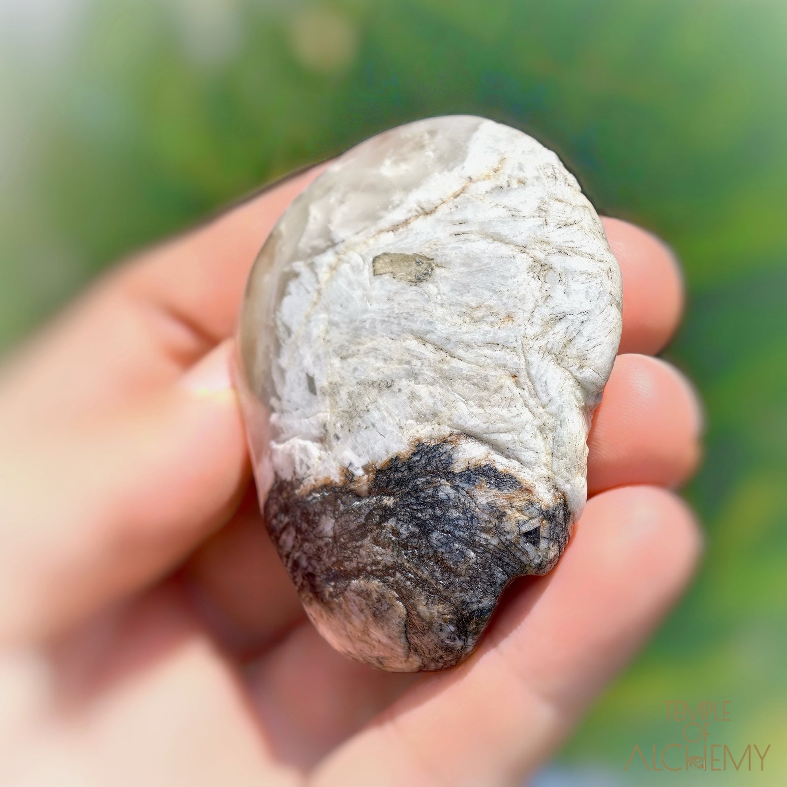 Lodolite x Columbite in Clear Quartz