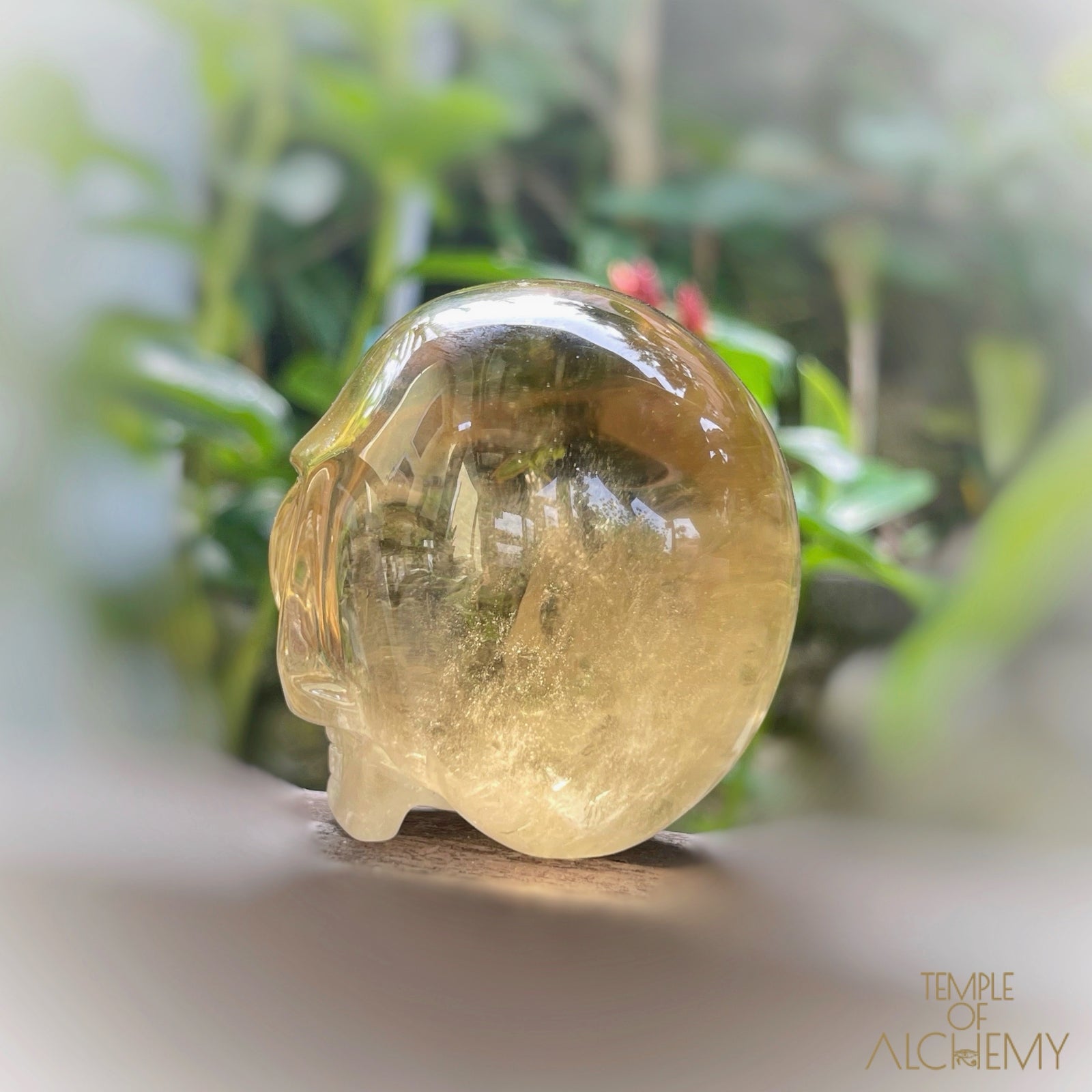 𓁹🌈𓁹 Citrine