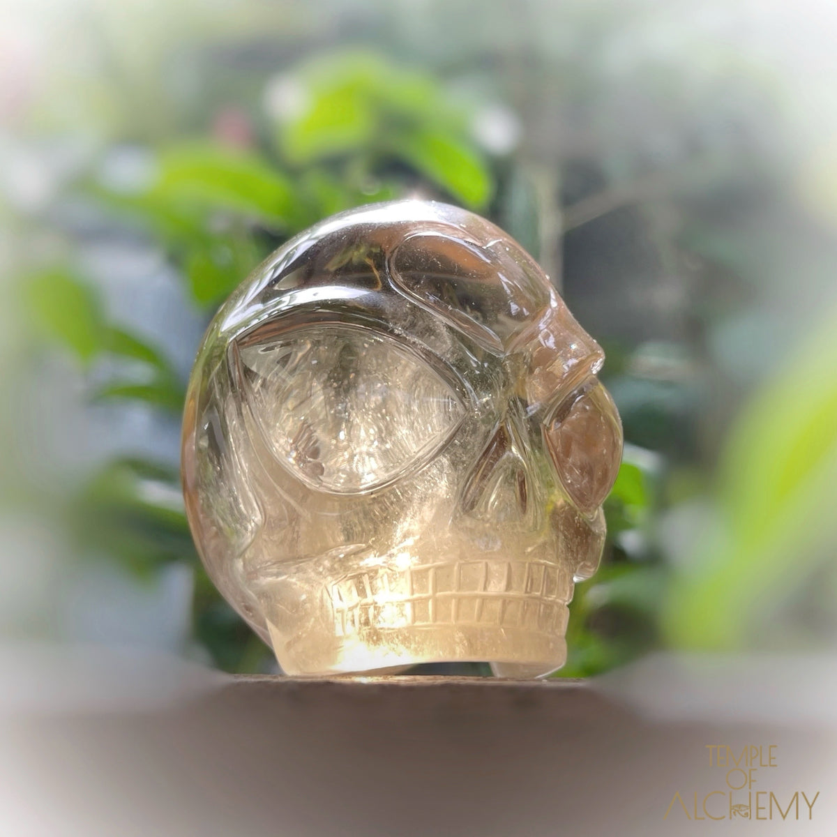 𓁹🌈𓁹 Citrine