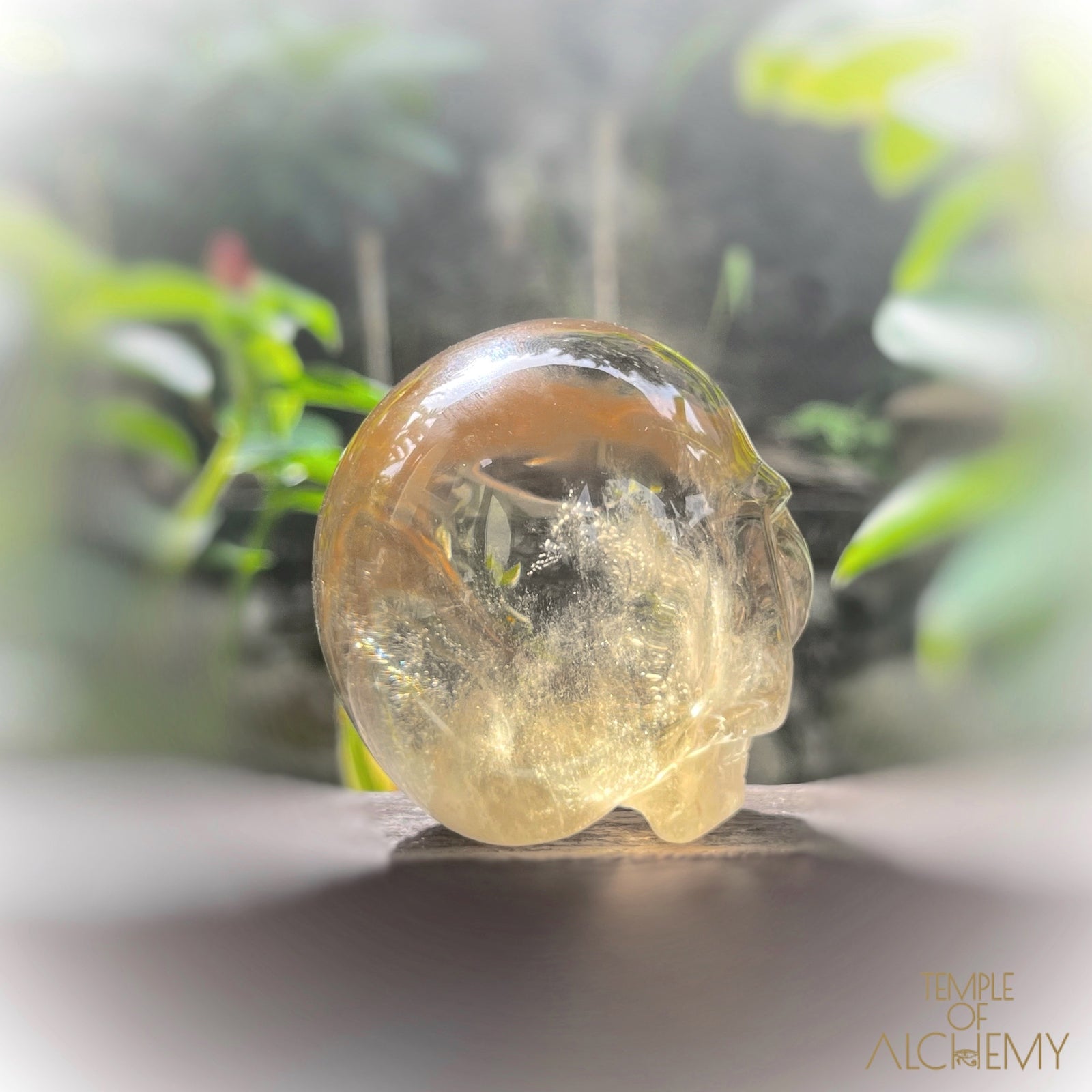 𓁹🌈𓁹 Citrine