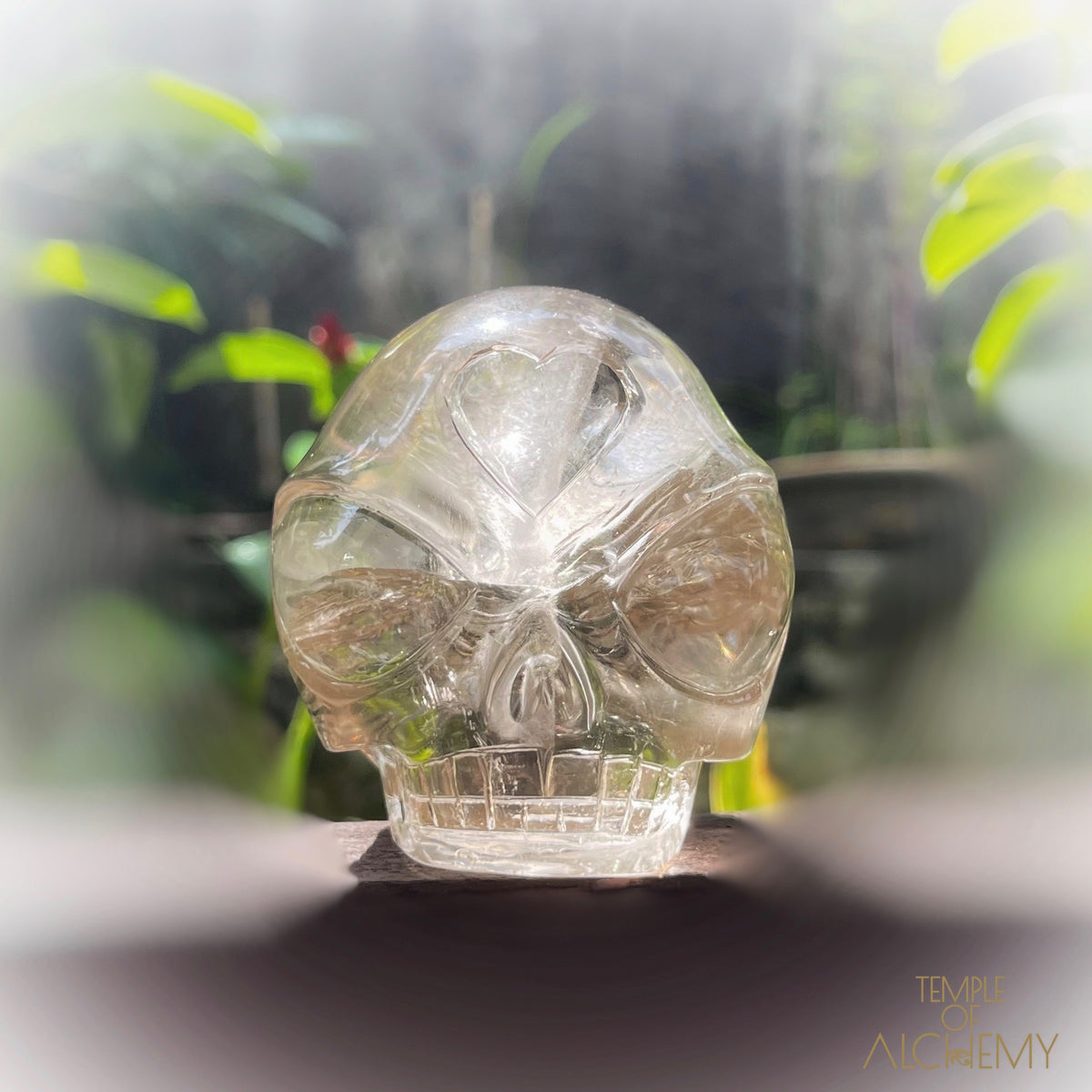 Citrine 👁🌈👁