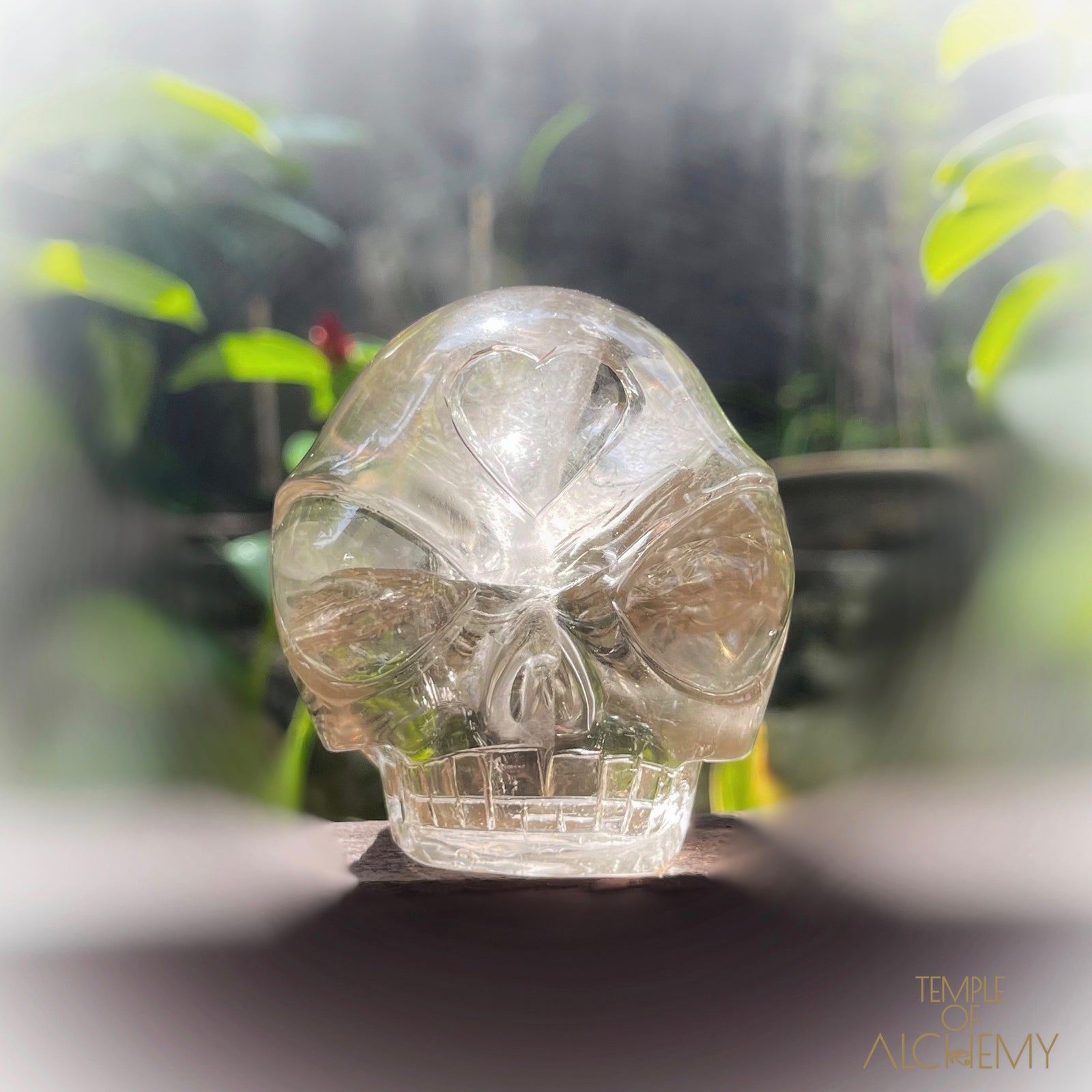 Citrine 👁🌈👁