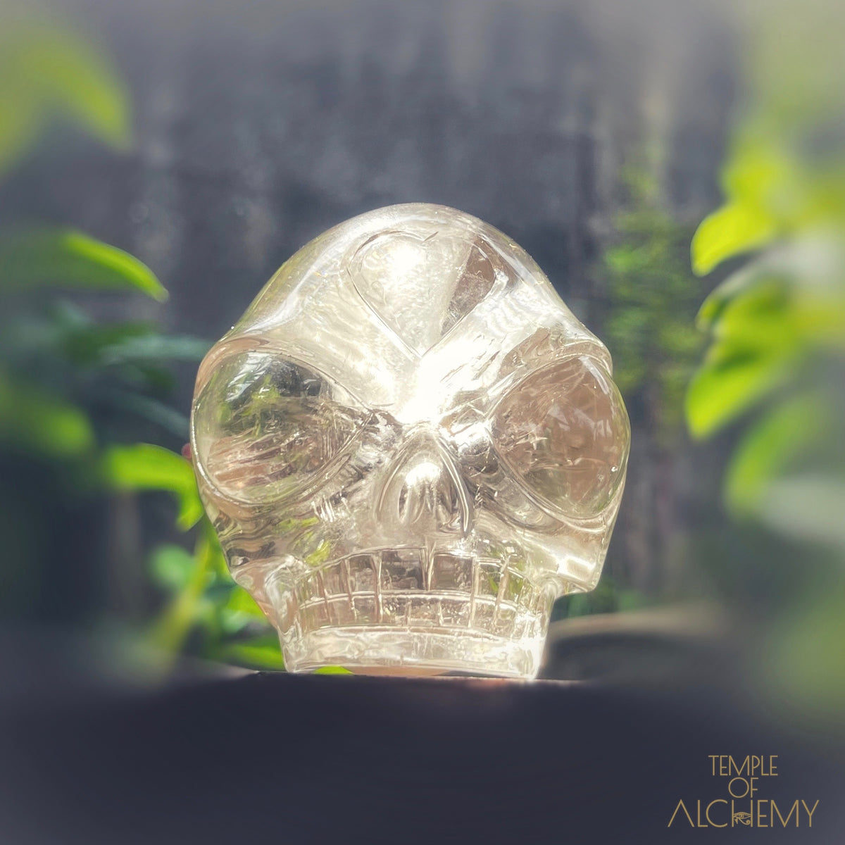 Citrine 👁🌈👁