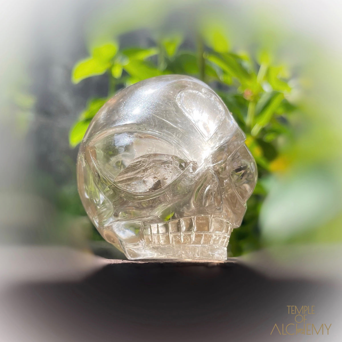 Citrine 👁🌈👁