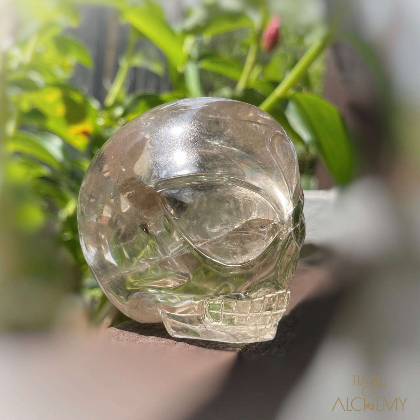 Citrine 👁🌈👁