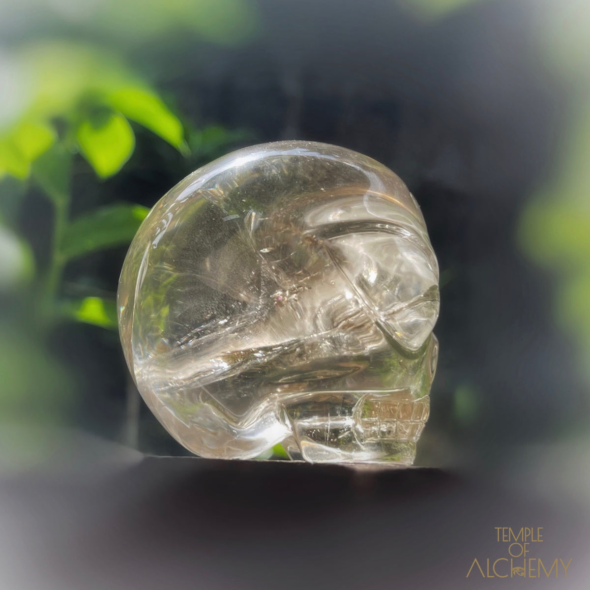 Citrine 👁🌈👁