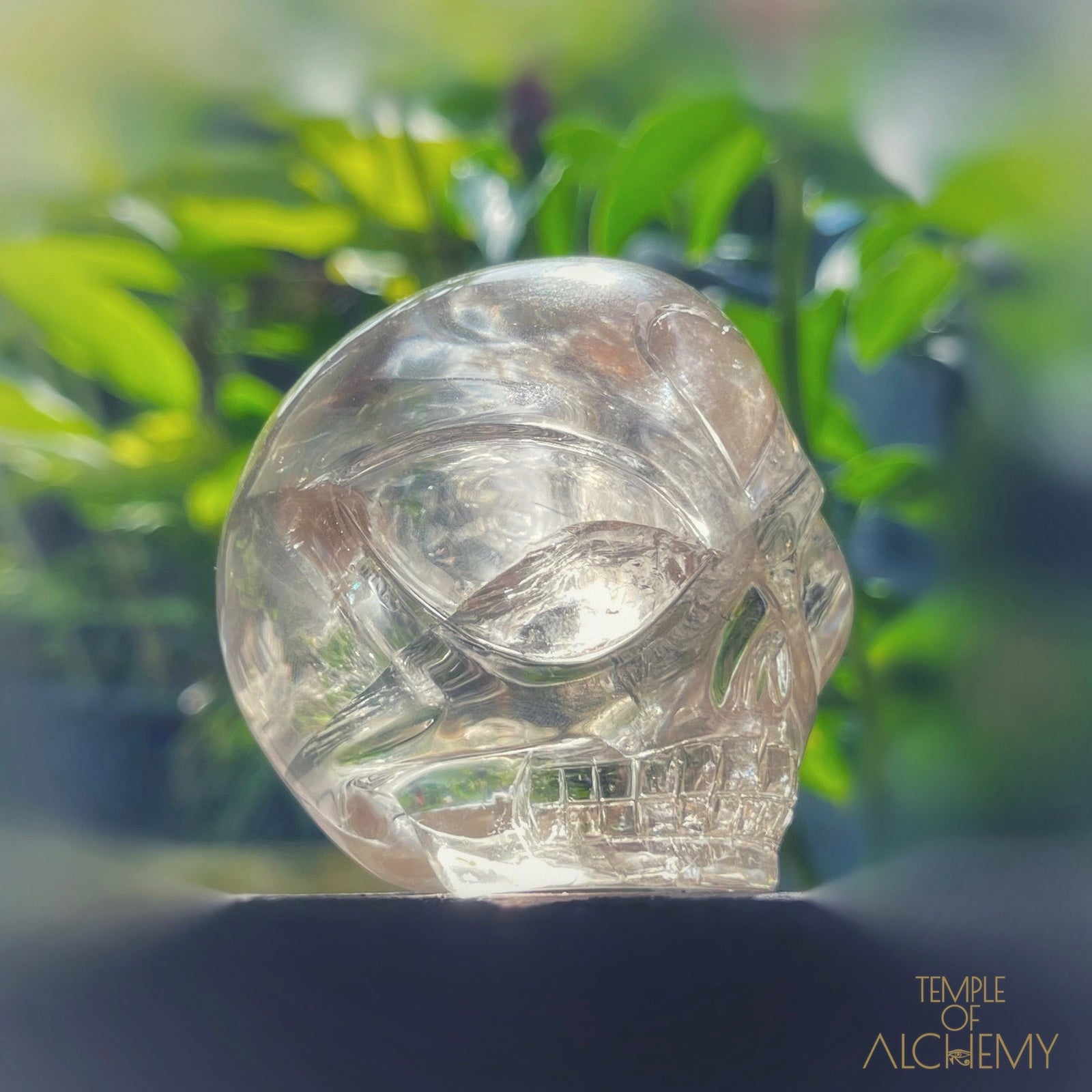 Citrine 👁🌈👁