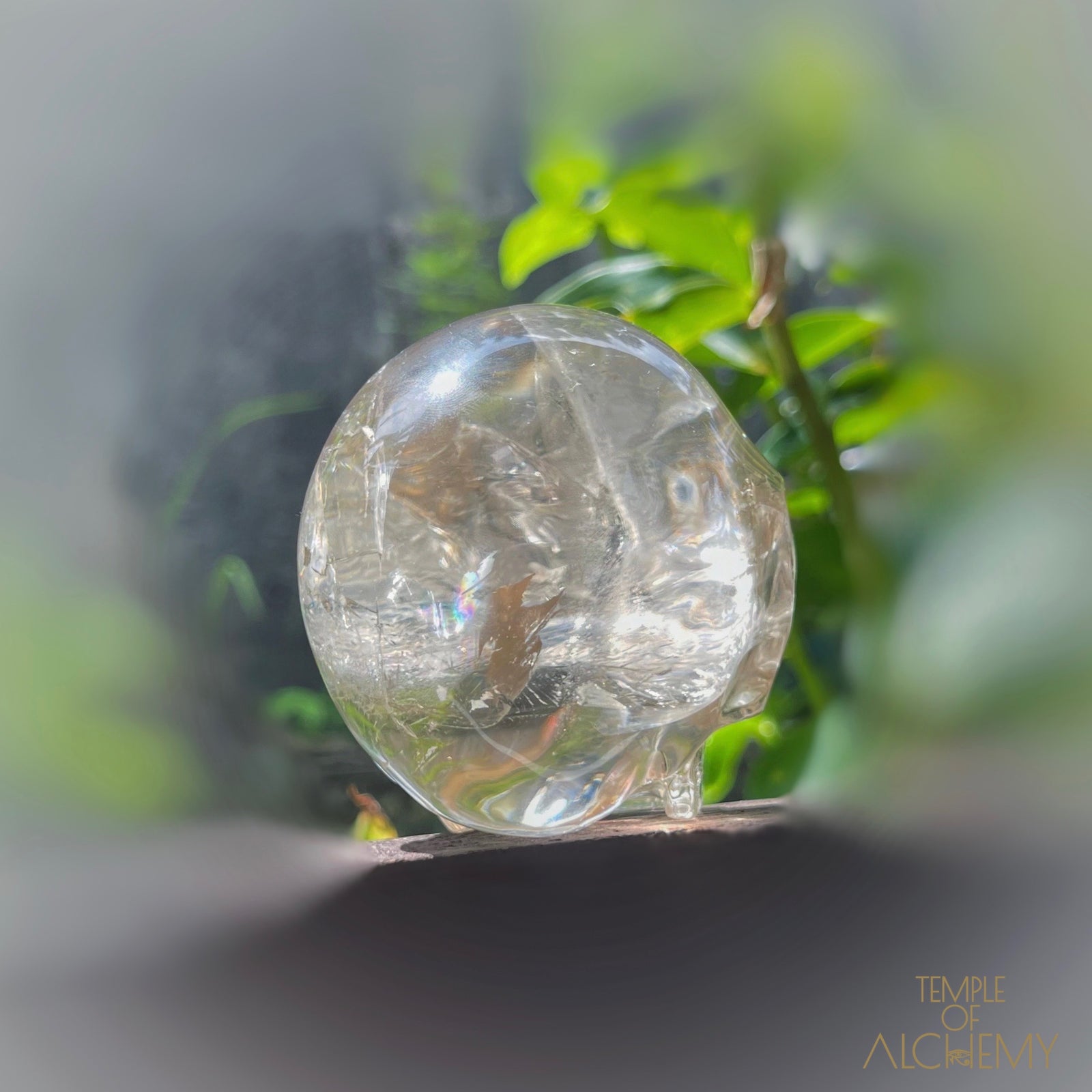 Citrine 👁🌈👁