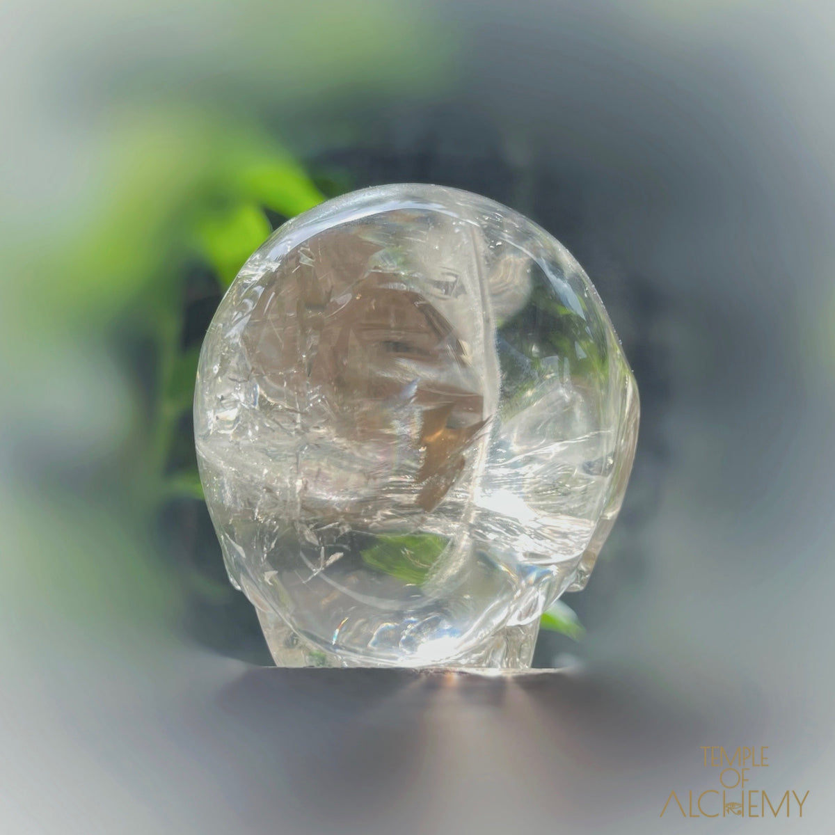 Citrine 👁🌈👁