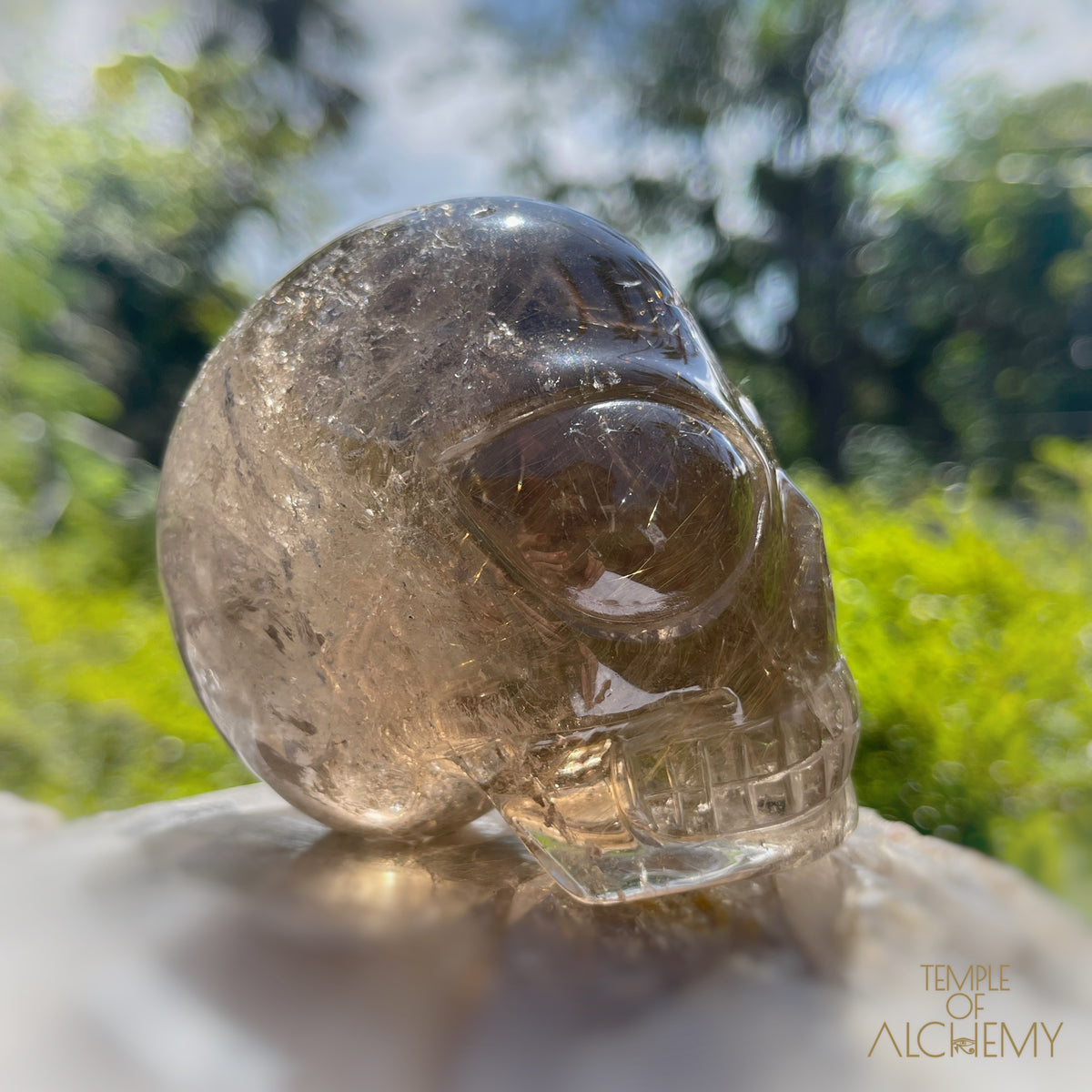 Smoky Citrine x Golden Rutiles