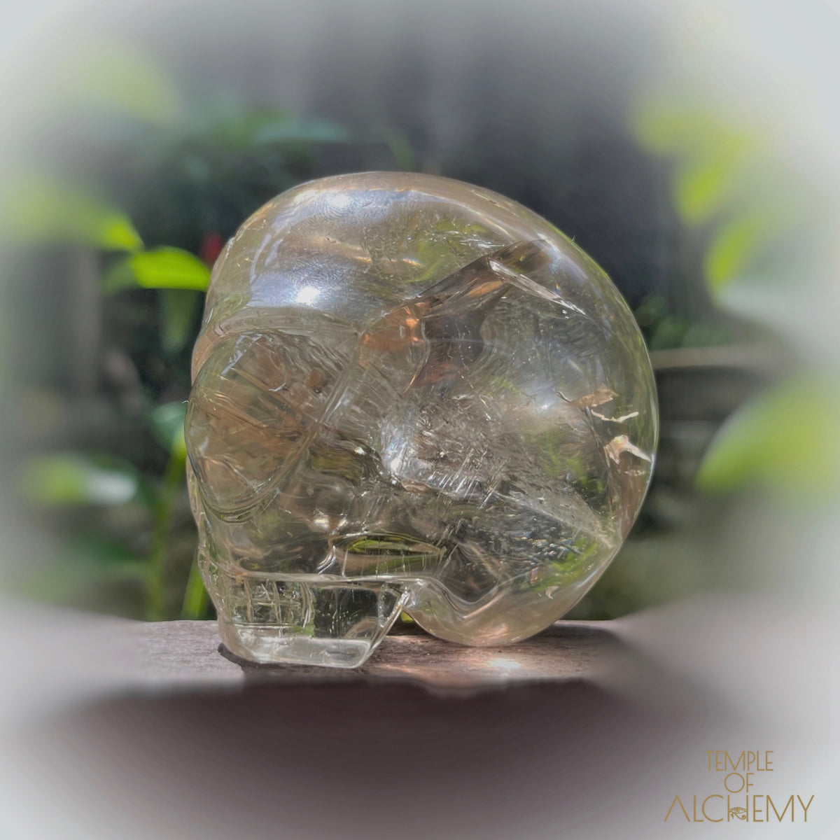 Citrine 👁🌈👁