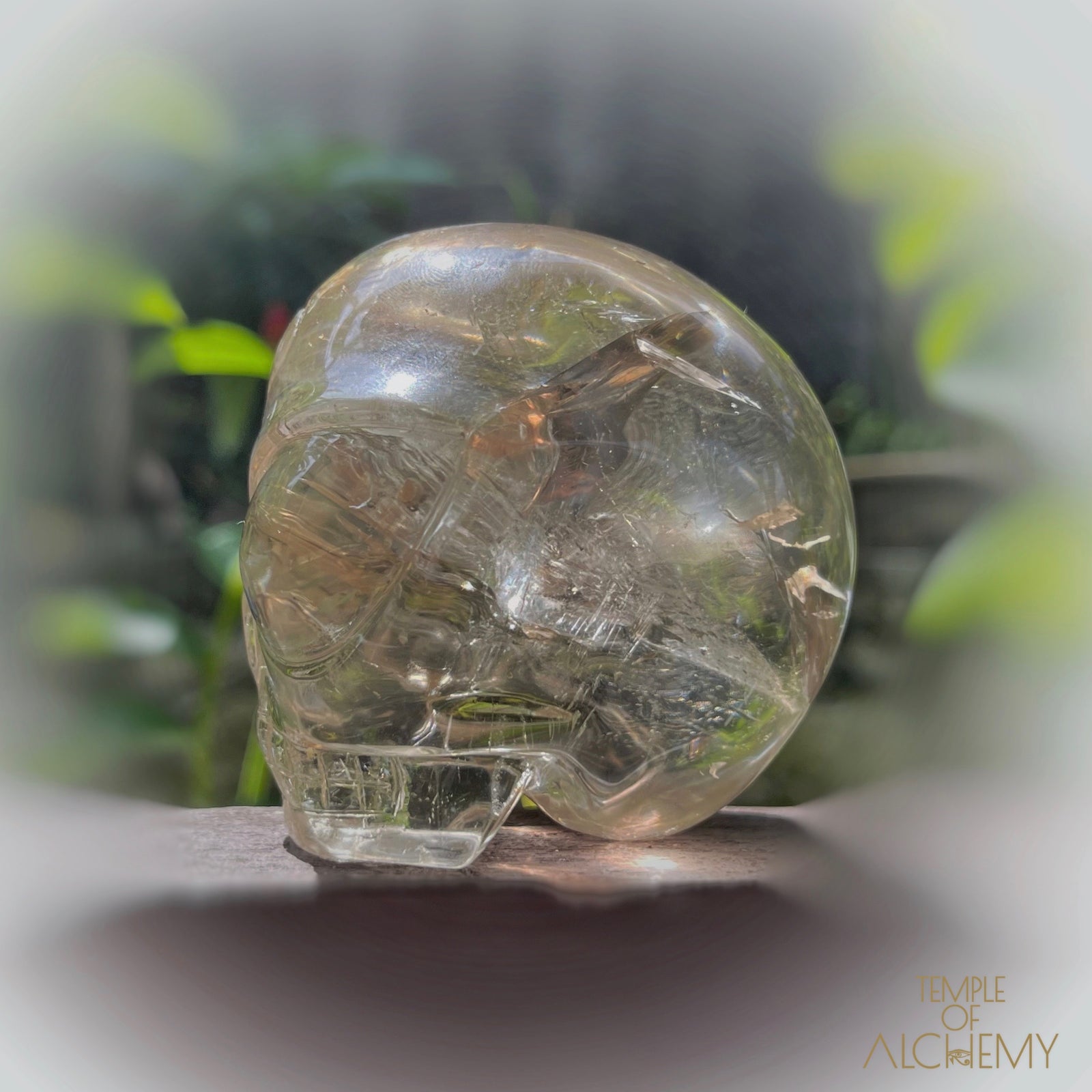 Citrine 👁🌈👁