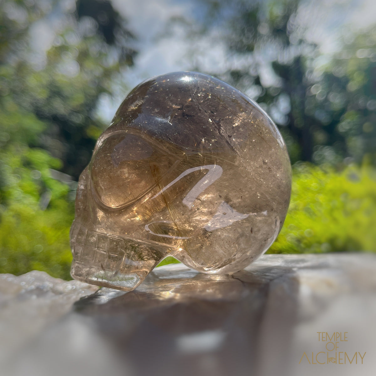 Smoky Citrine x Golden Rutiles