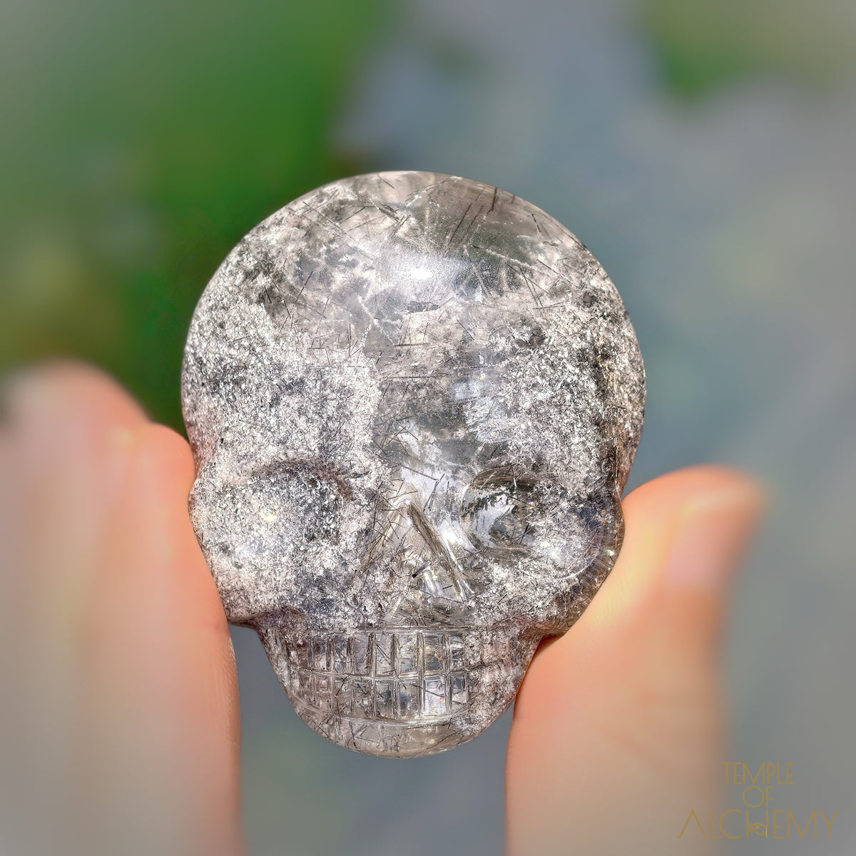 Lodolite x Black Tourmaline