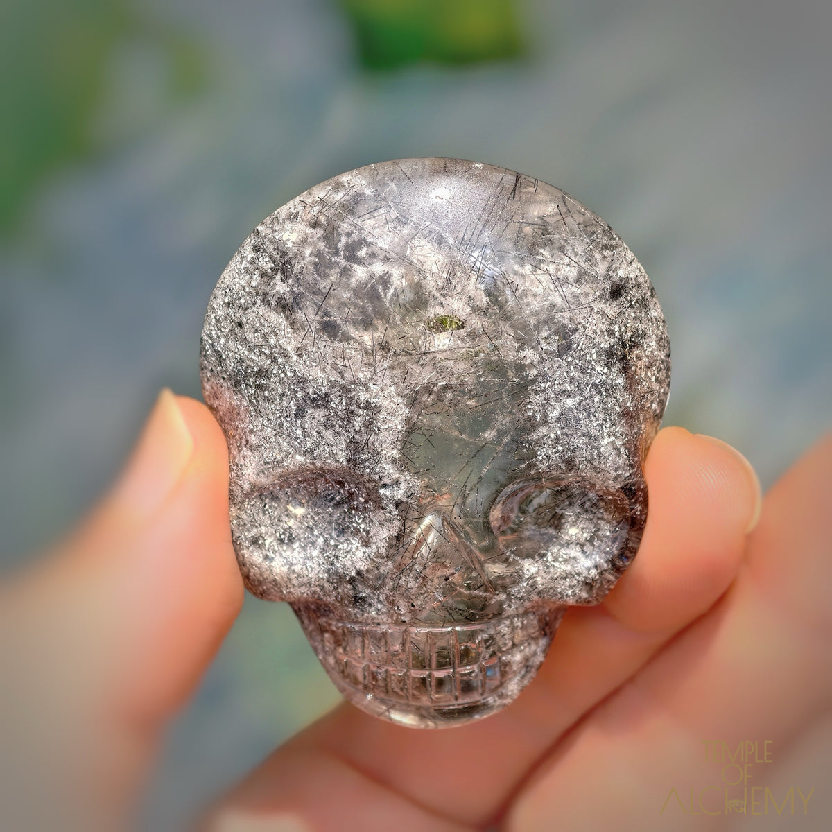 Lodolite x Black Tourmaline