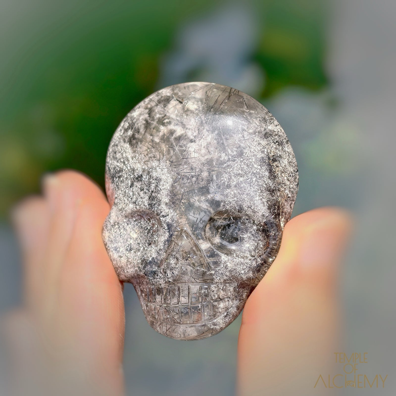 Lodolite x Black Tourmaline